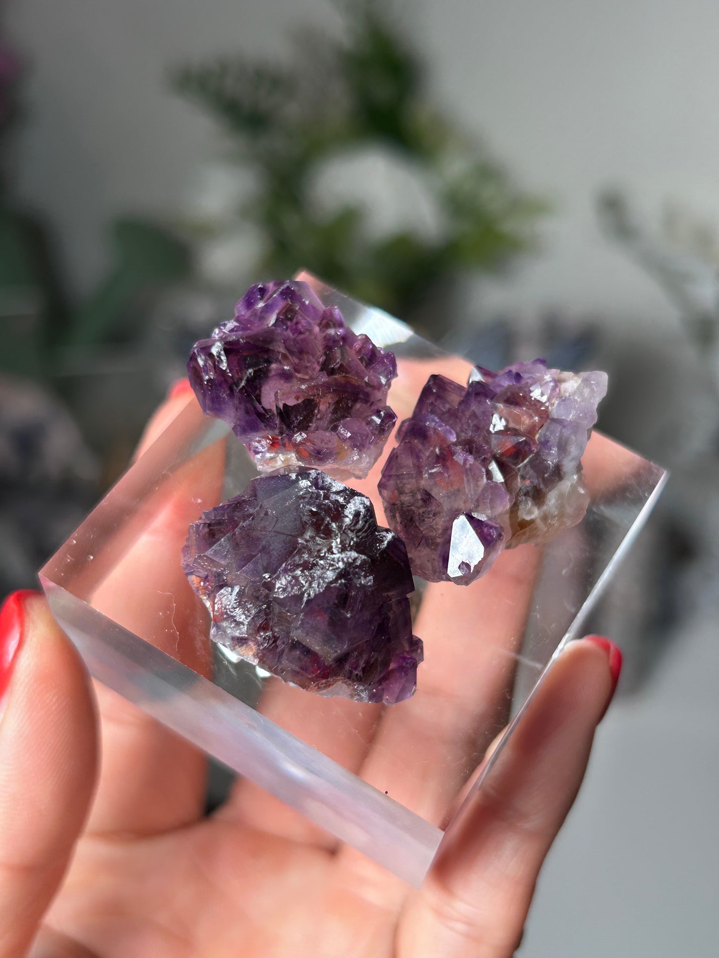 Amethyst Elestial with Red Hematite TRIO 19K