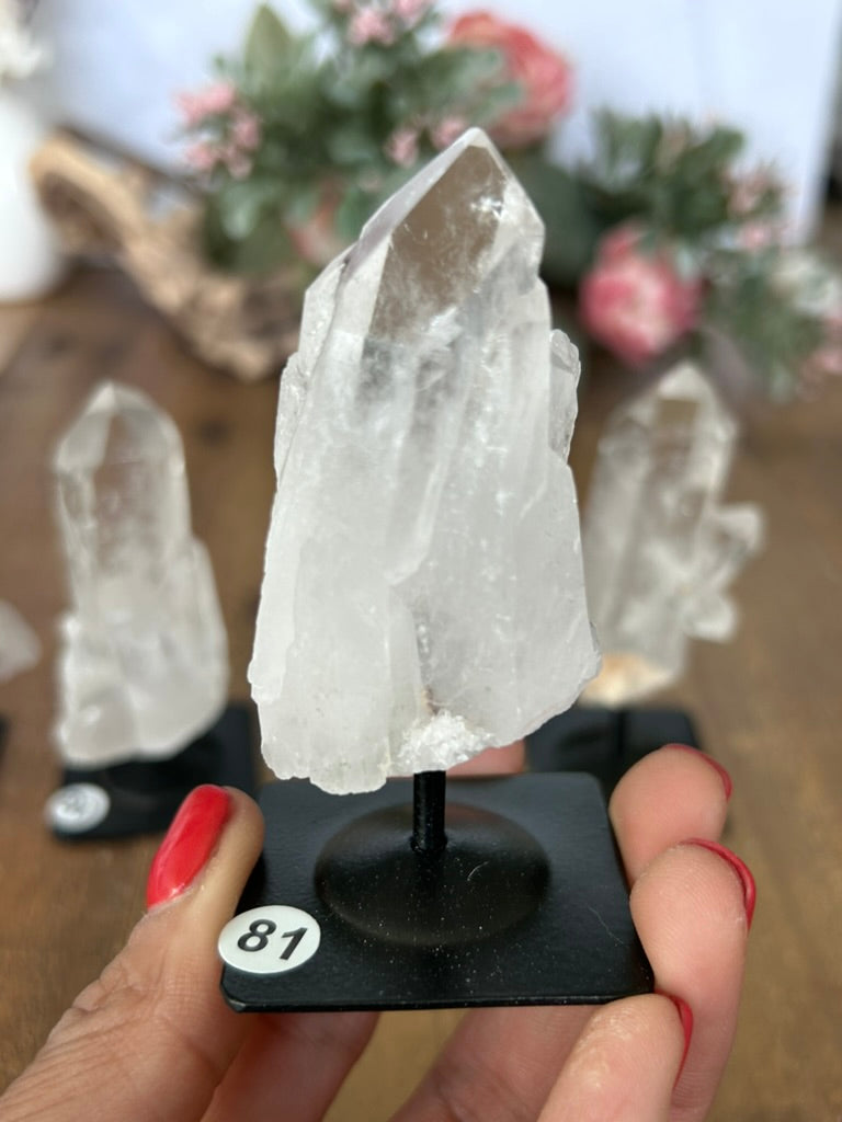 Twin Quartz On Stand 79, 80, 81, 82