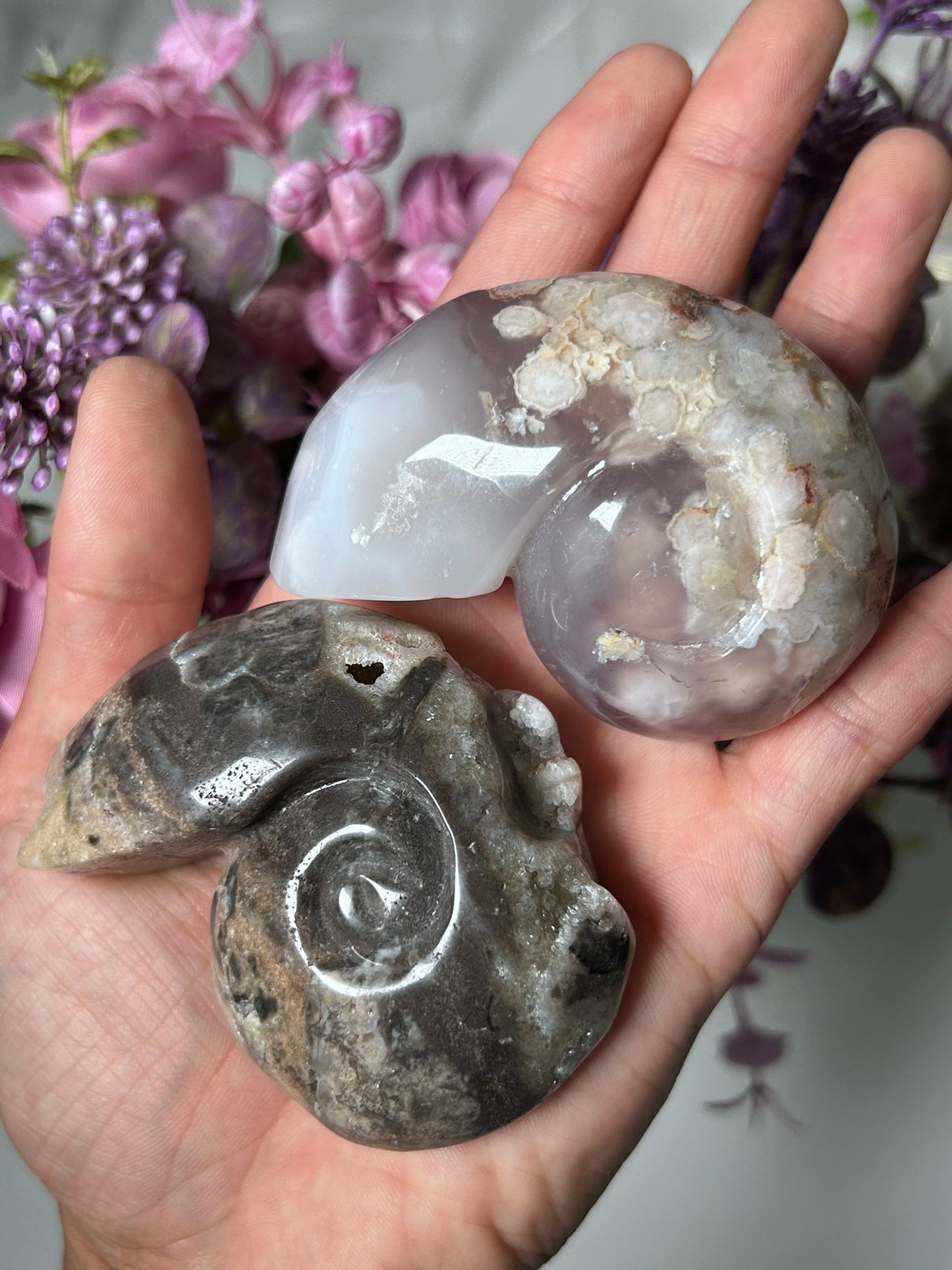 Sphalerite Shell & Flower Agate Shell