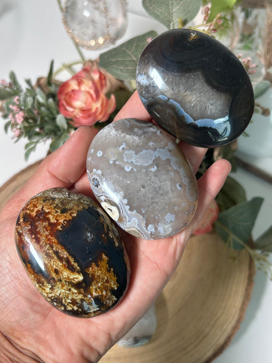 Indonesian Timor Agate Palm 55b, 36, 27, 35