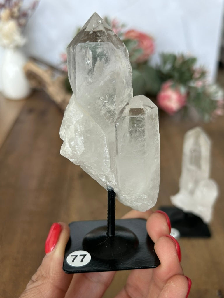 Twin Quartz On Stand 75, 76, 77, 78