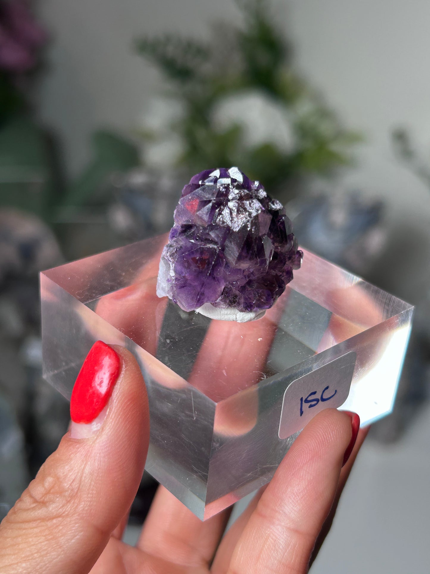 Amethyst Elestial with Red Hematite 15c