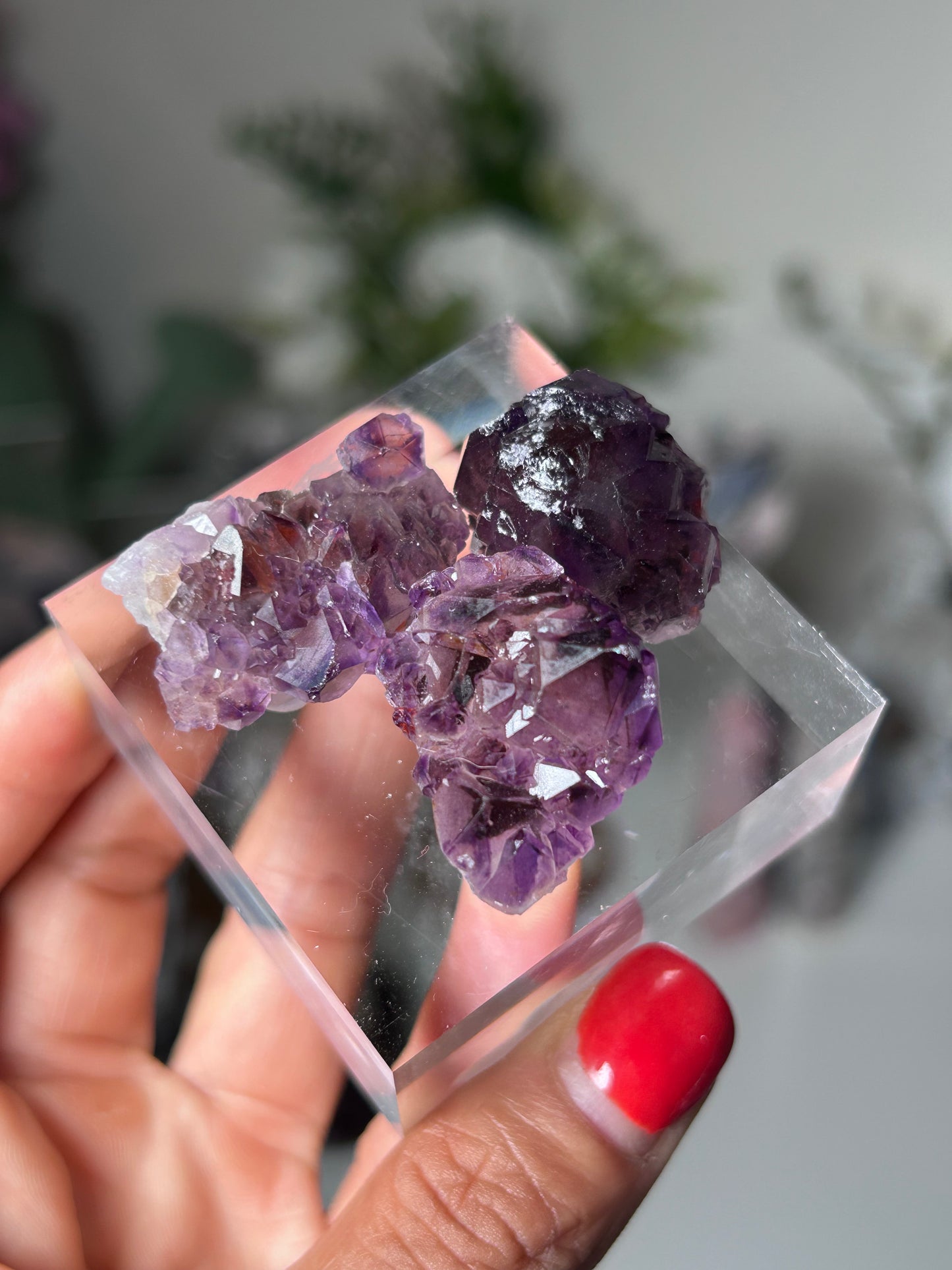 Amethyst Elestial with Red Hematite TRIO 19K