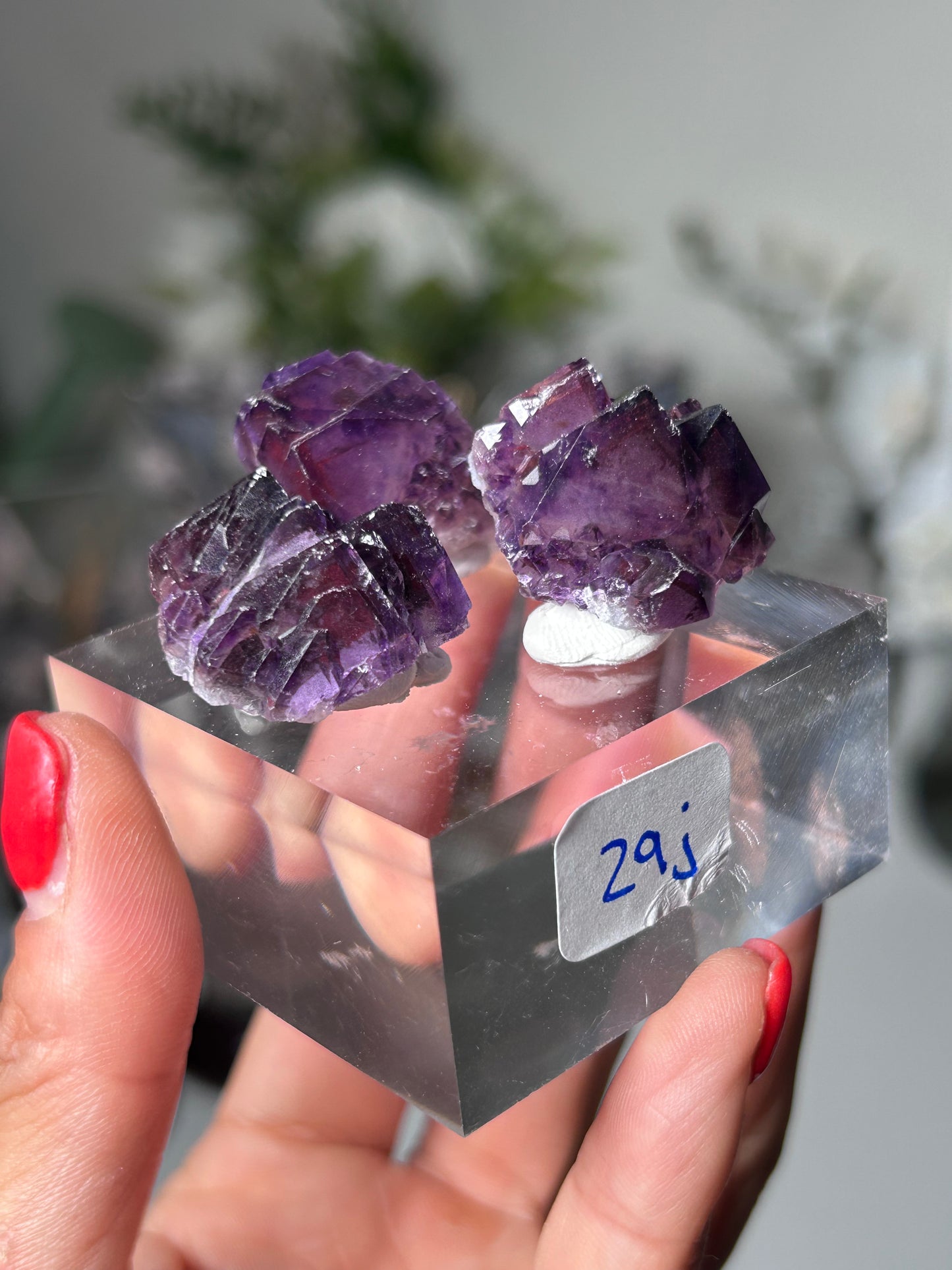 Amethyst Elestial with Red Hematite TRIO 29J