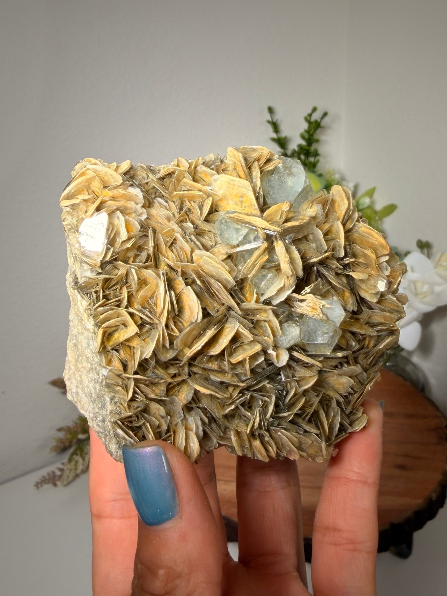 Himalayan Aquamarine on Muscovite 360