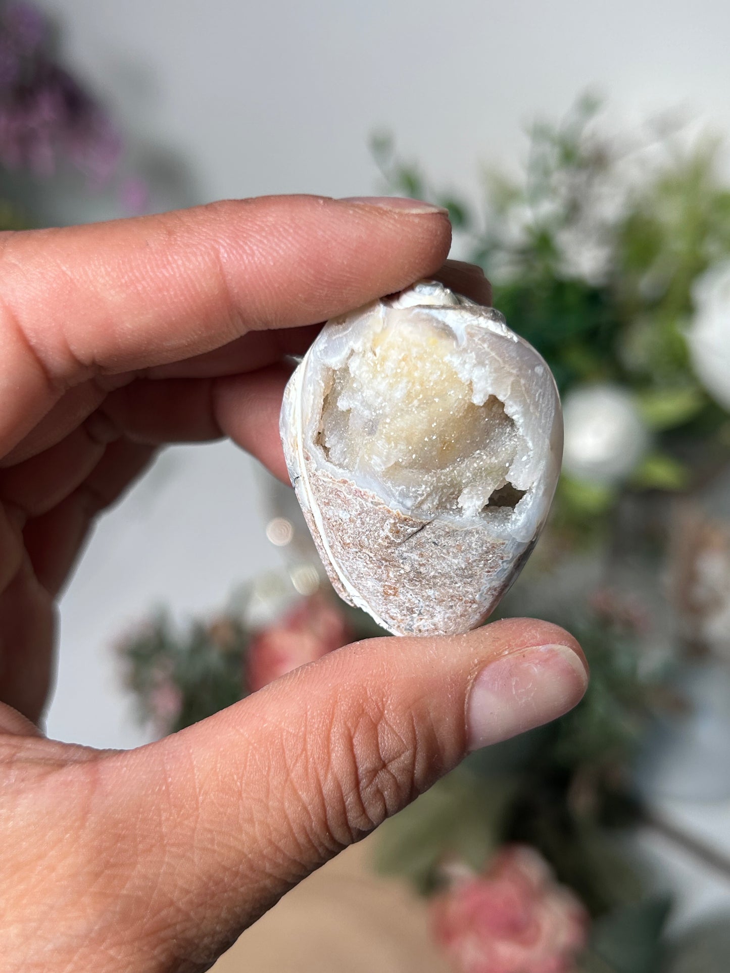 Fossilized Quartz Shells