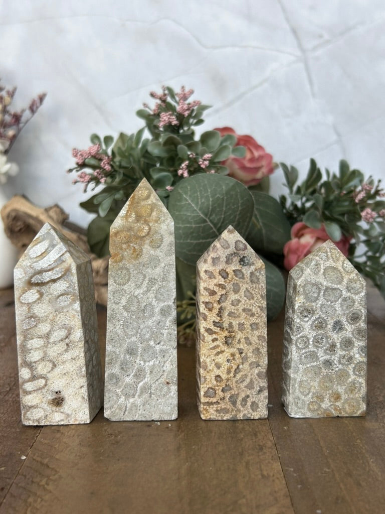Coral Towers