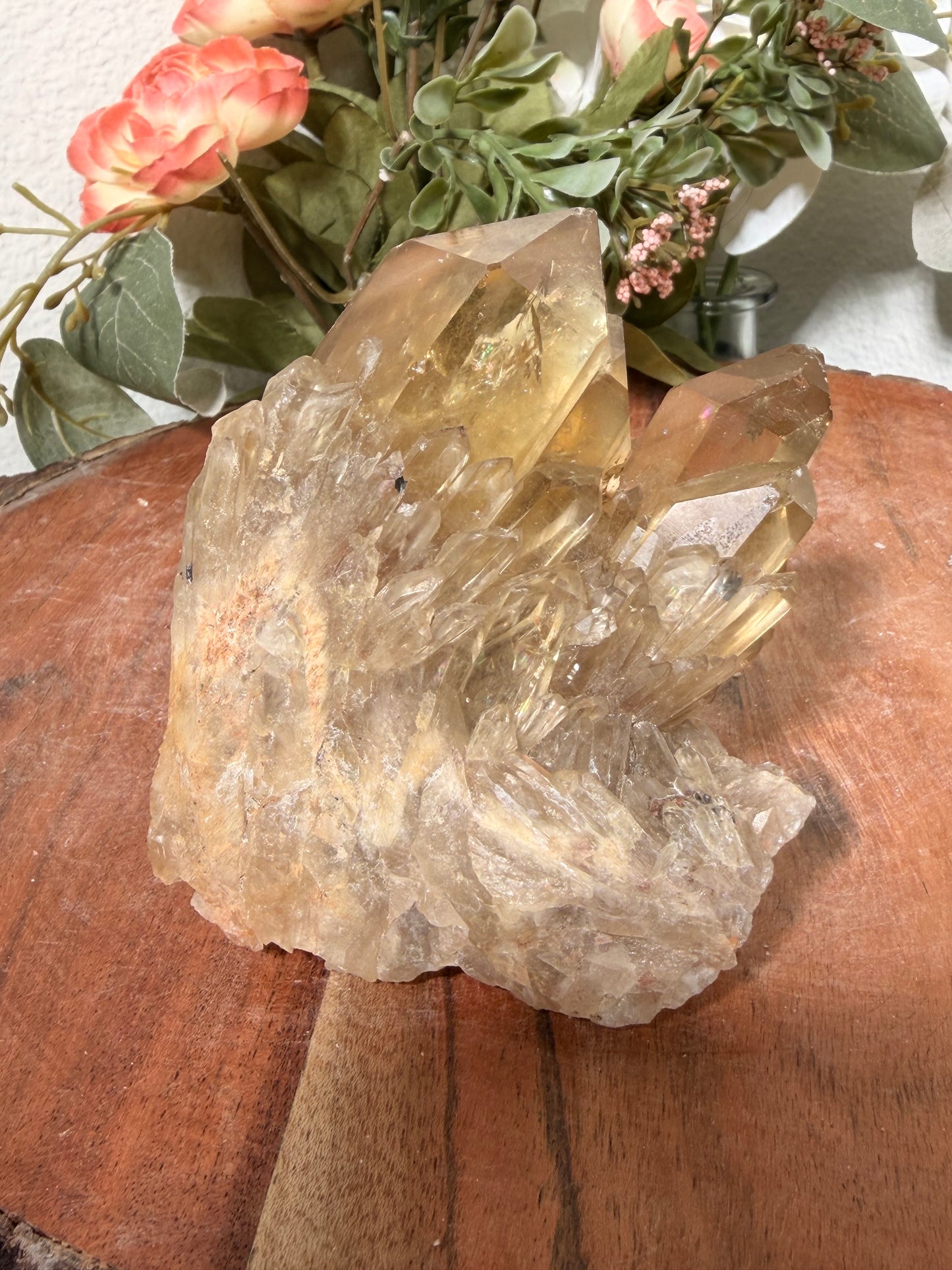 Kundalini Citrine Congo 133