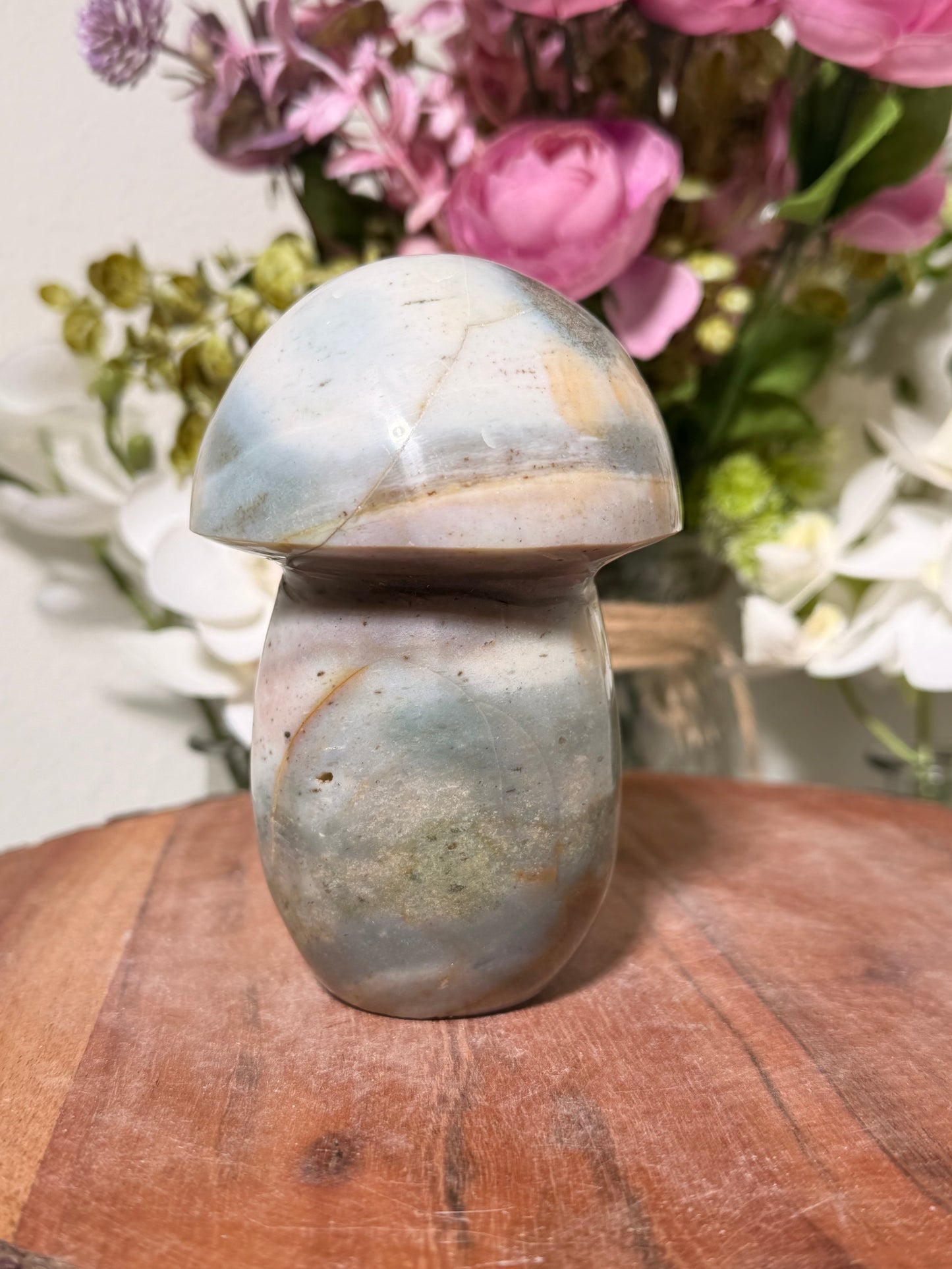 Ocean Jasper Mushroom C