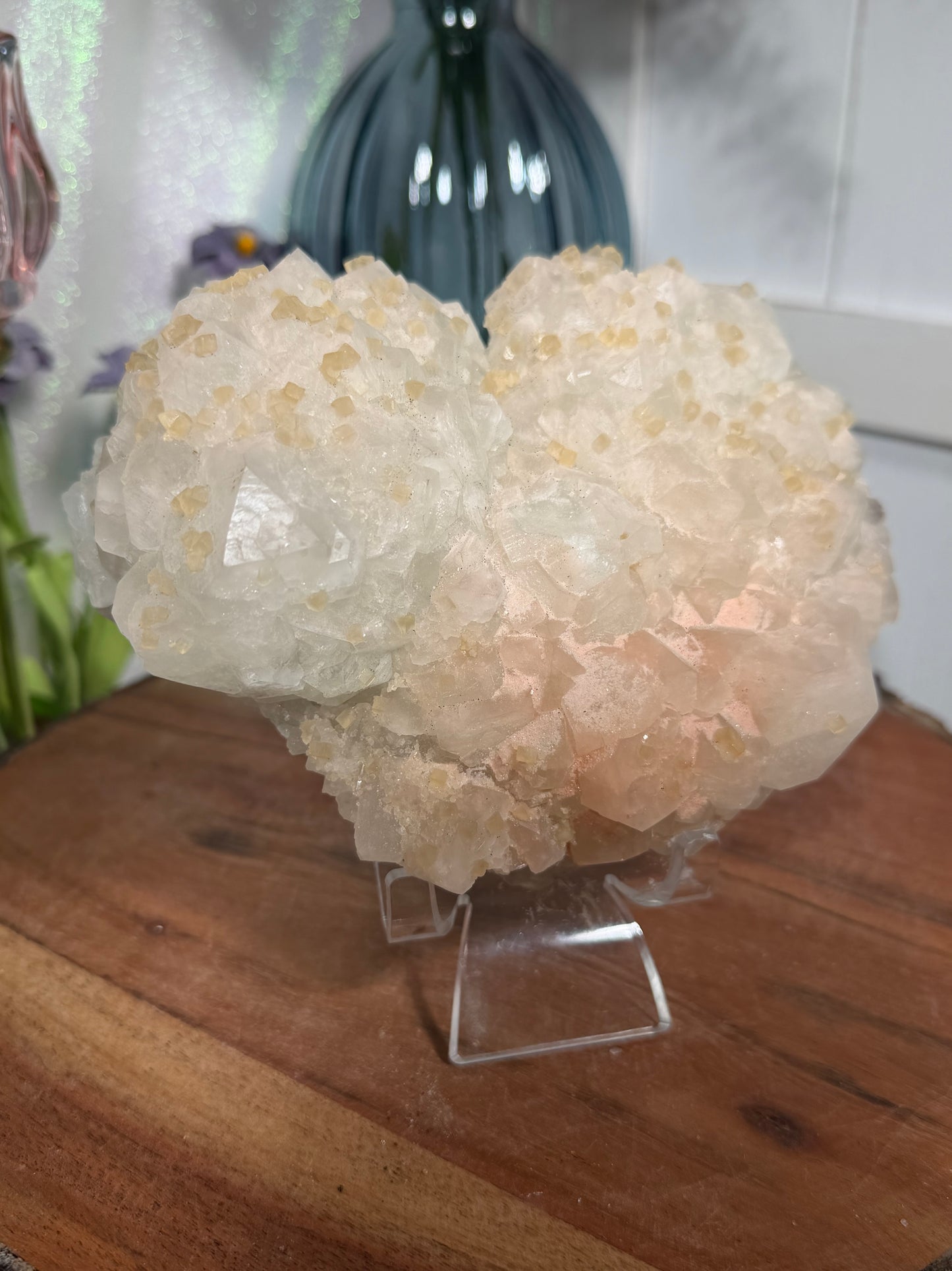 'Starlight Blush' 188