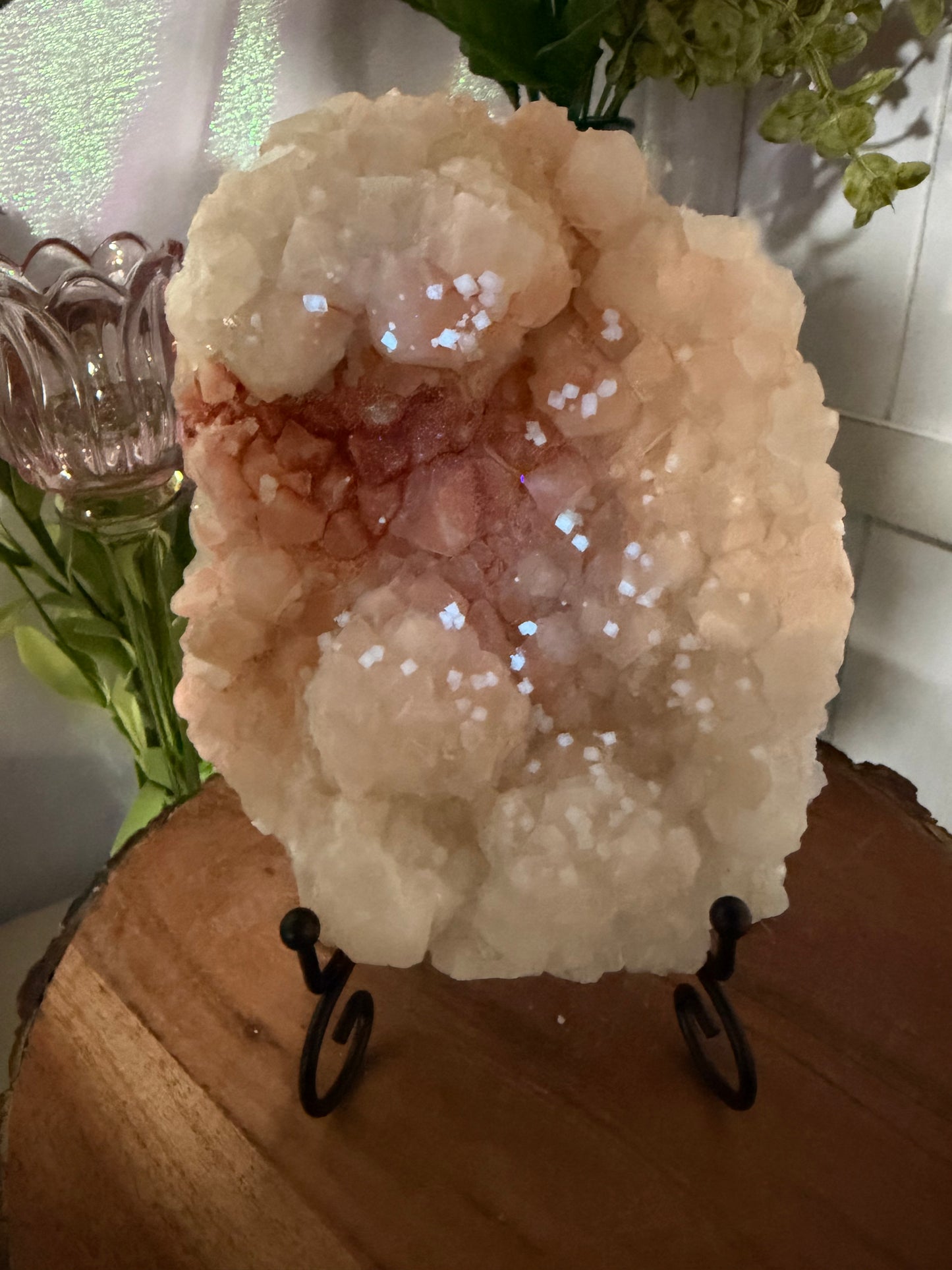 'Starlight Blush' 201