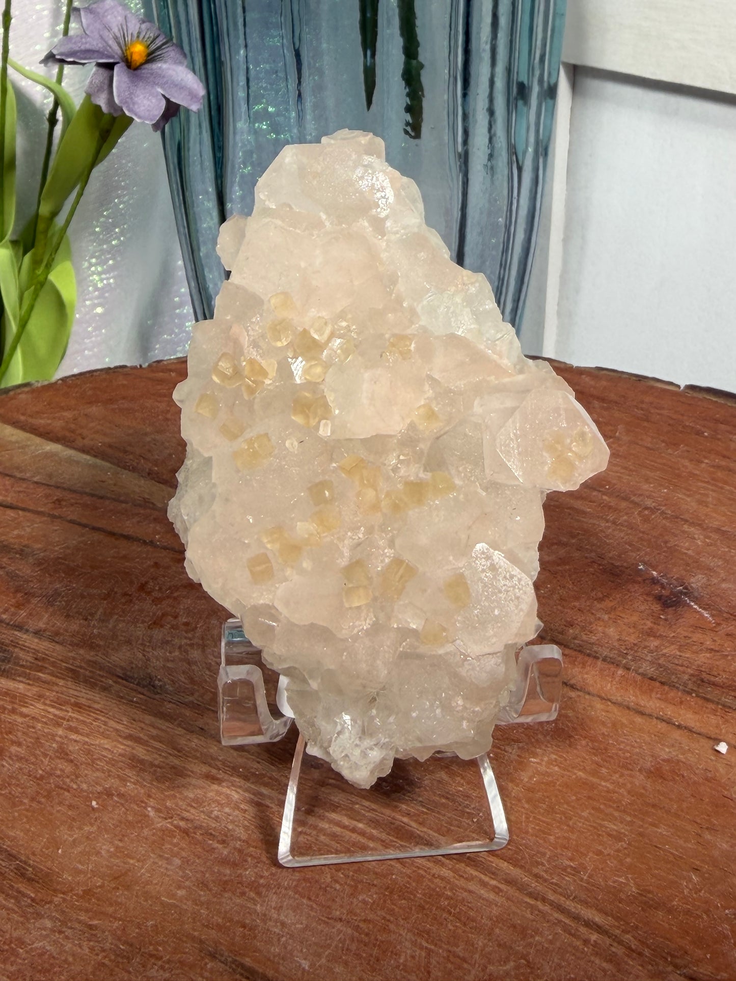 'Starlight Blush' 35a
