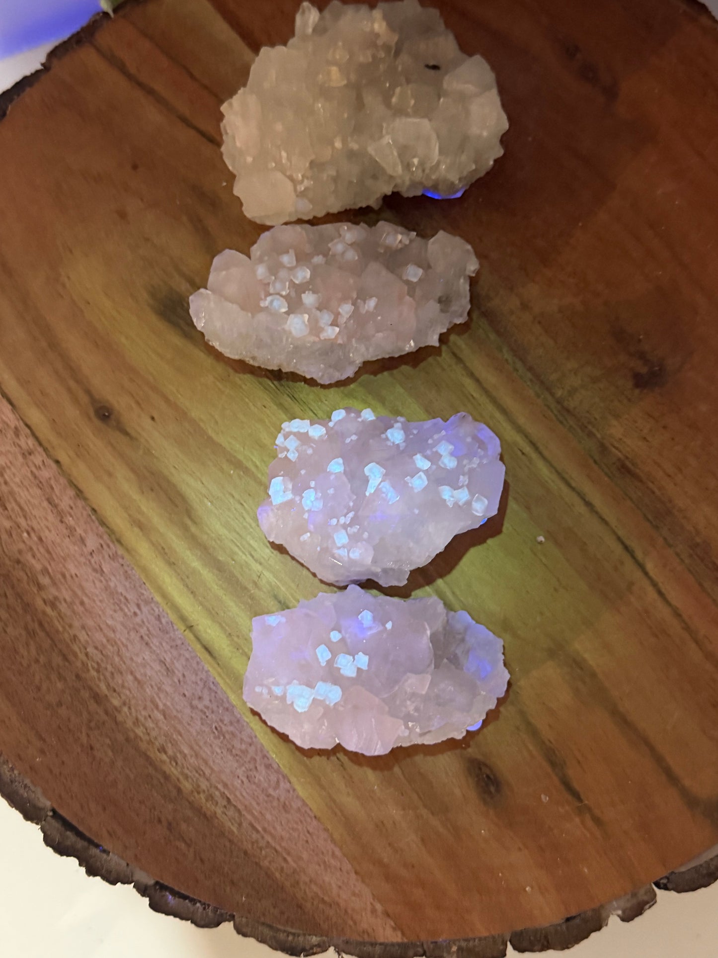 'Starlight Blush' 15, 17, 20a, 27