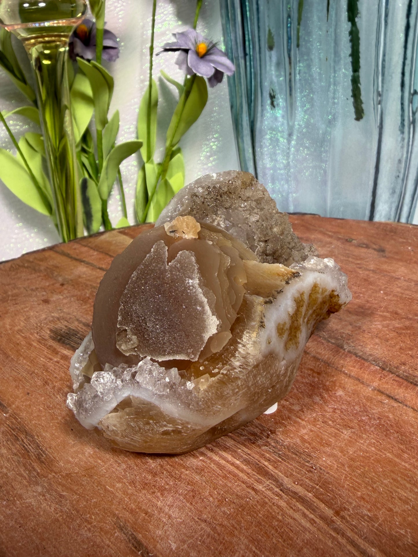 'Fairy Lantern' 98