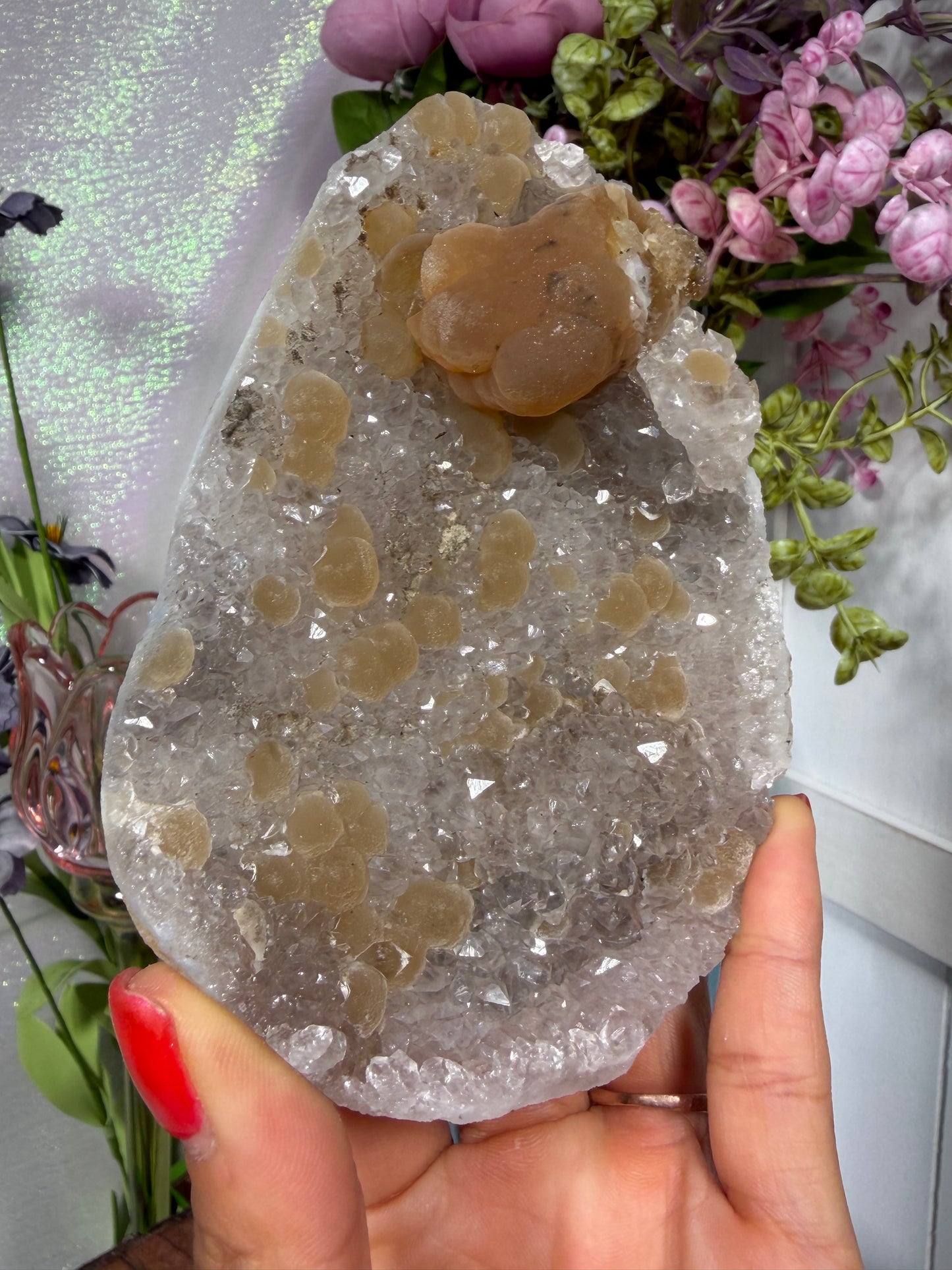'Fairy Lantern' 125