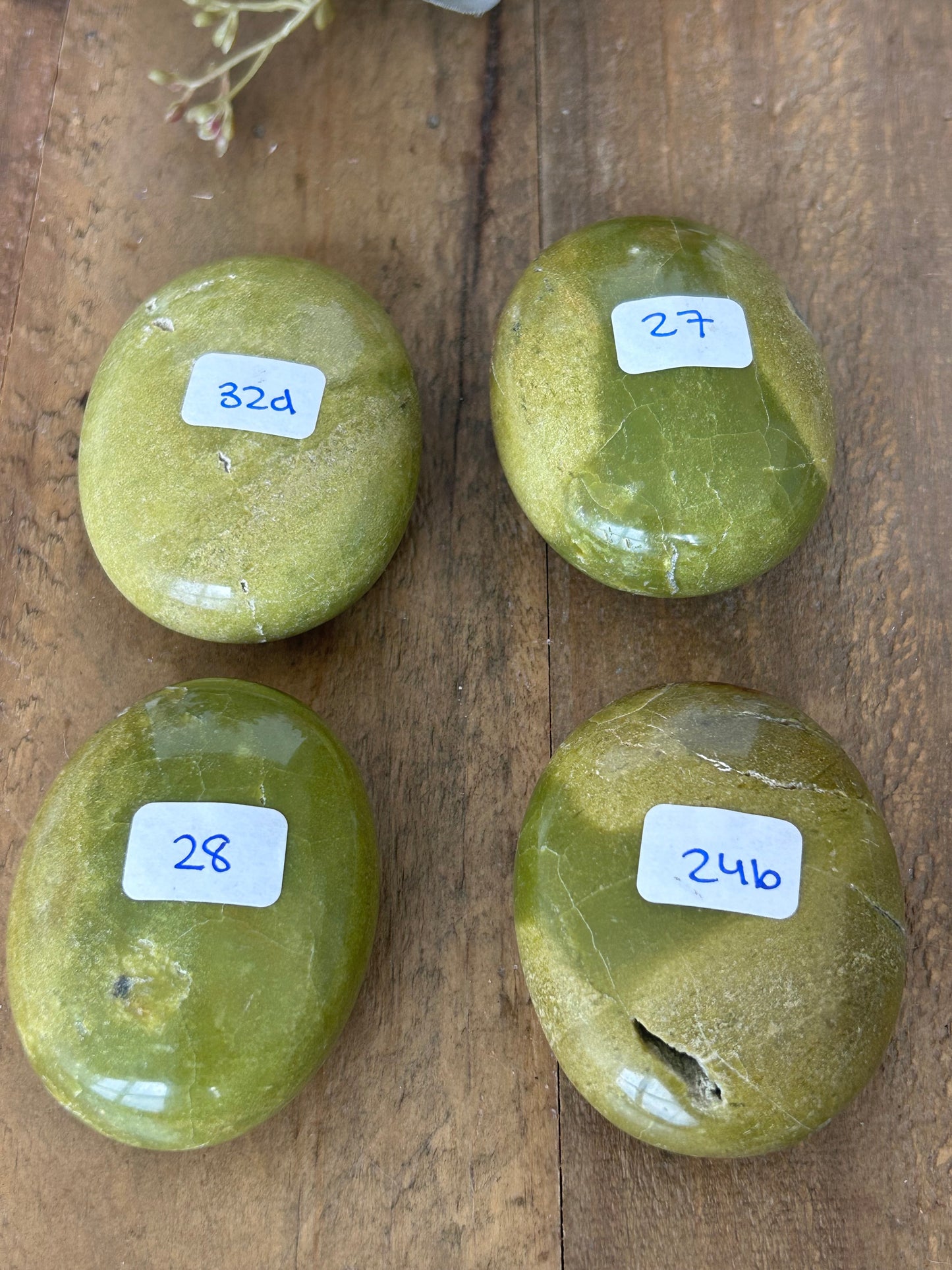Avocado Jasper Palms