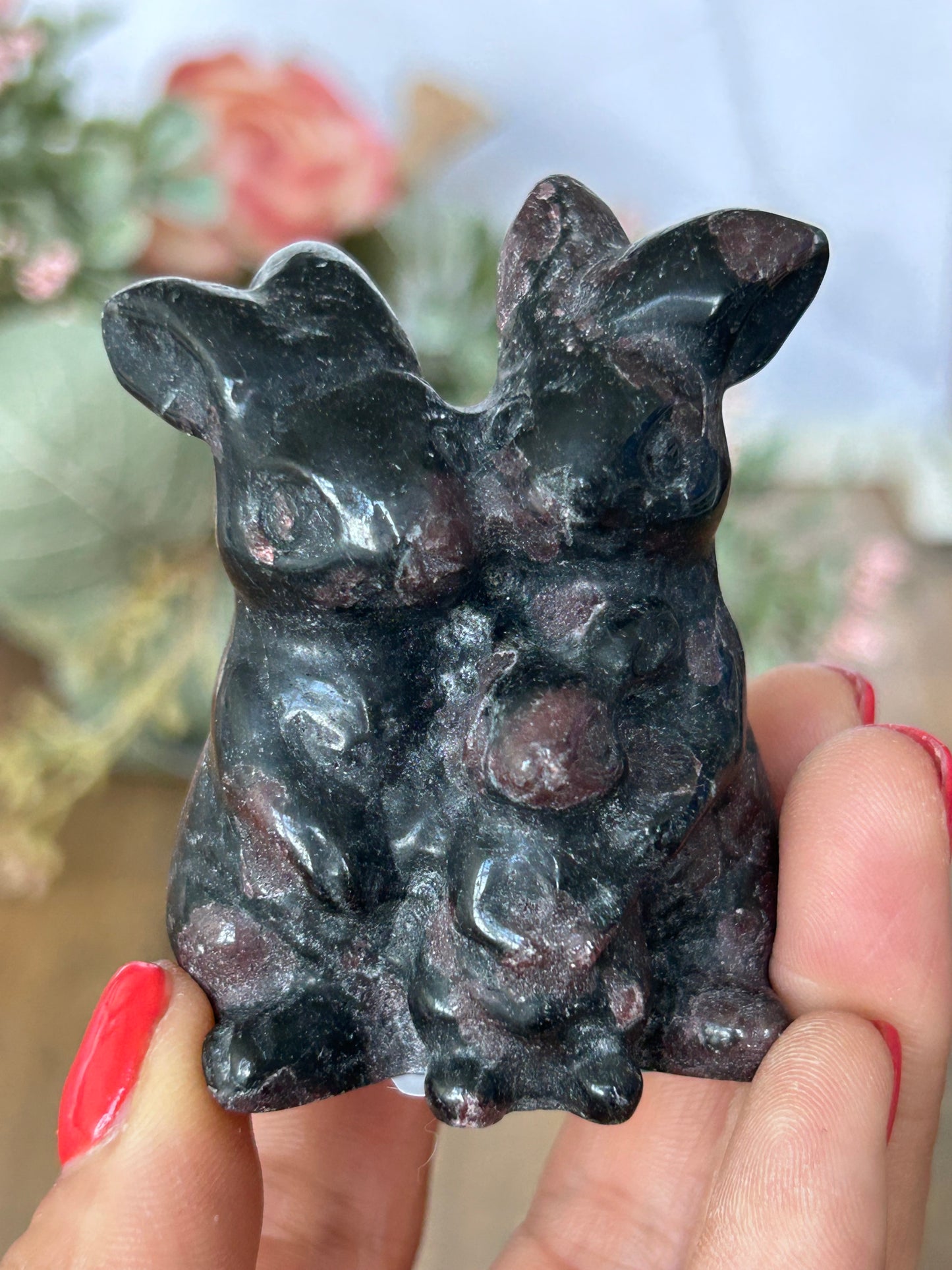 Rabbit Family
