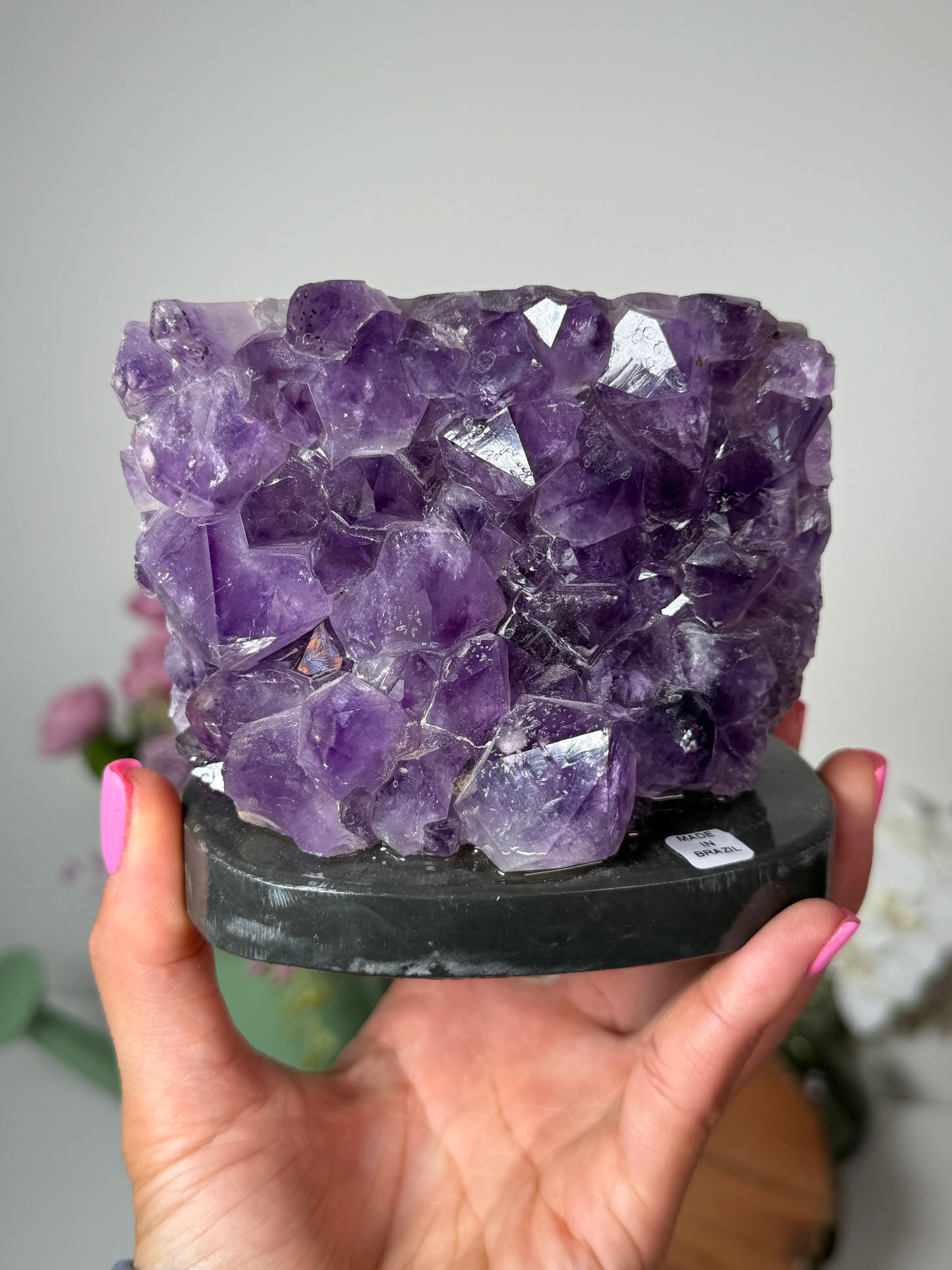 Amethyst geode with Rose Quartz Seahorse