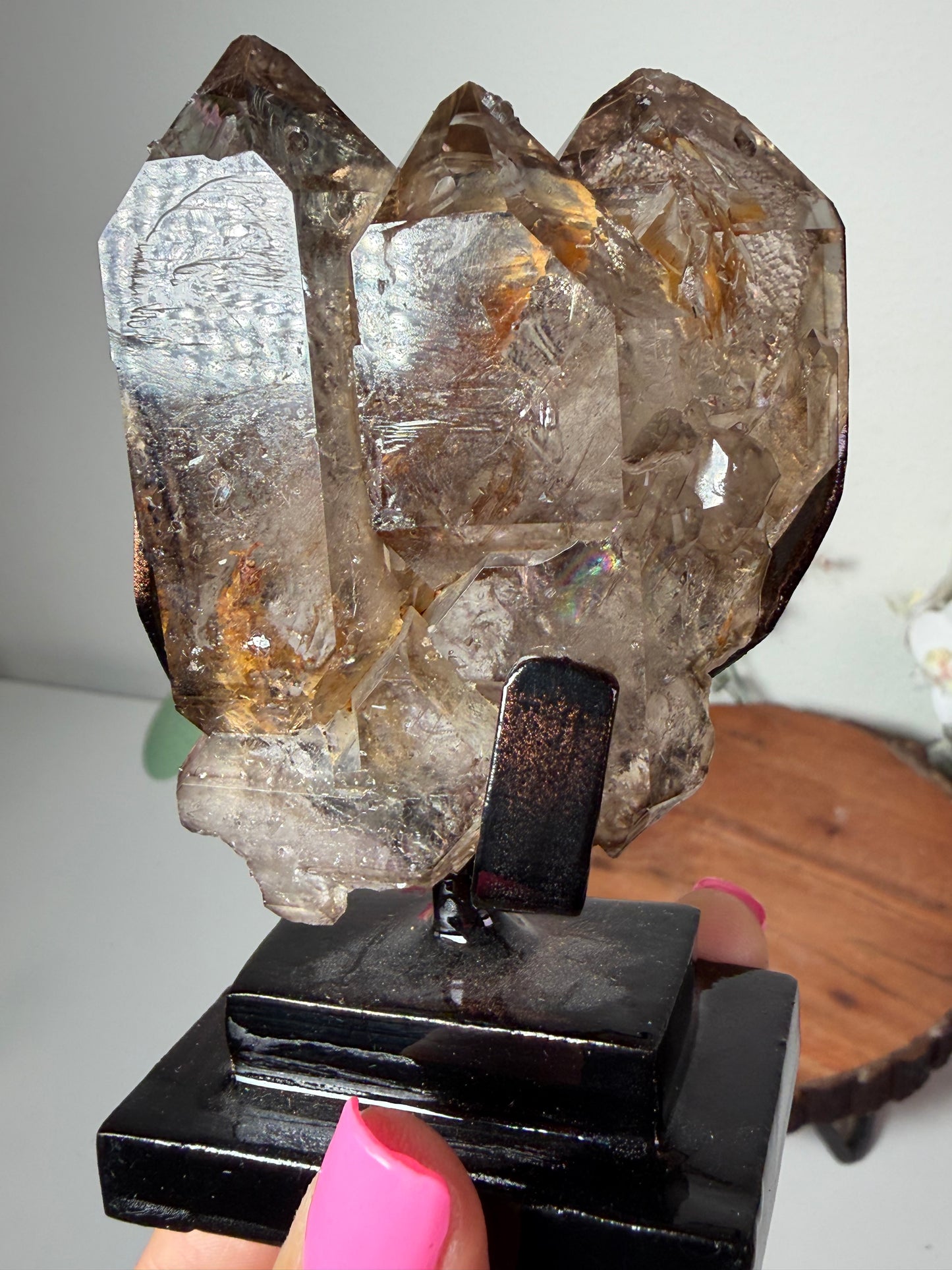 Smoky Elestial Quartz Brazil on custom stand 181