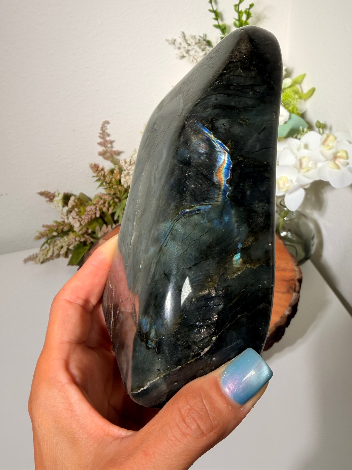 Rainbow Flash Lab Freeform 130