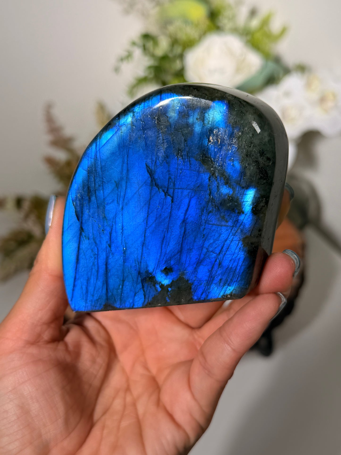 Blue Lab FreeForm 50