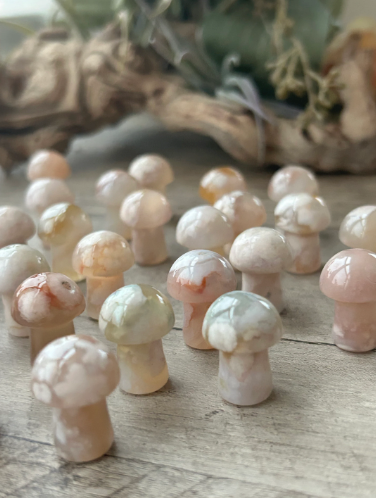 Mini Flower Agate Mushrooms