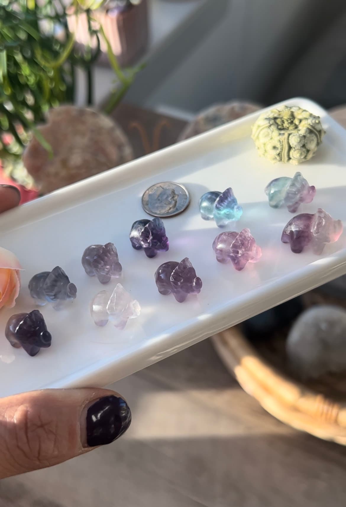 Mini Rainbow fluorite triceratops | Mini Crystals | Candy Fluorite | Crystal Seashells | Crystals for Grids | Gifts | Crystal Dinosaur