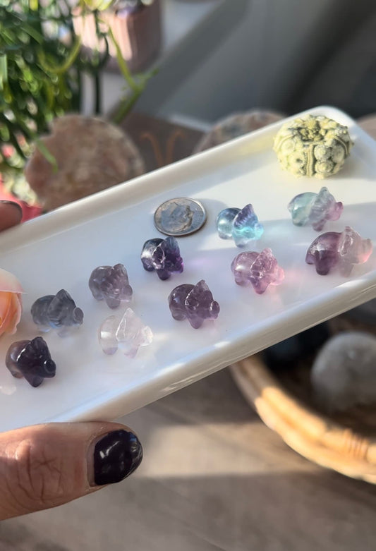 Mini Rainbow fluorite triceratops | Mini Crystals | Candy Fluorite | Crystal Seashells | Crystals for Grids | Gifts | Crystal Dinosaur