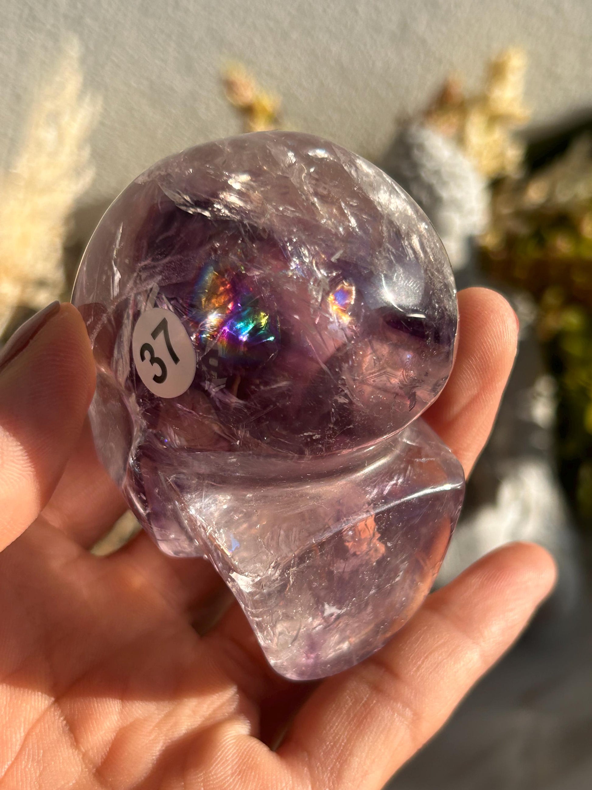 AAA Quality Phantom Amethyst Skull w\ Rainbows | Amethyst from Bahia, Brazil | Amethyst Skull | Crystal Skull | Crystal Gift | Home Decor-Crystal Skulls-Phantom amethyst