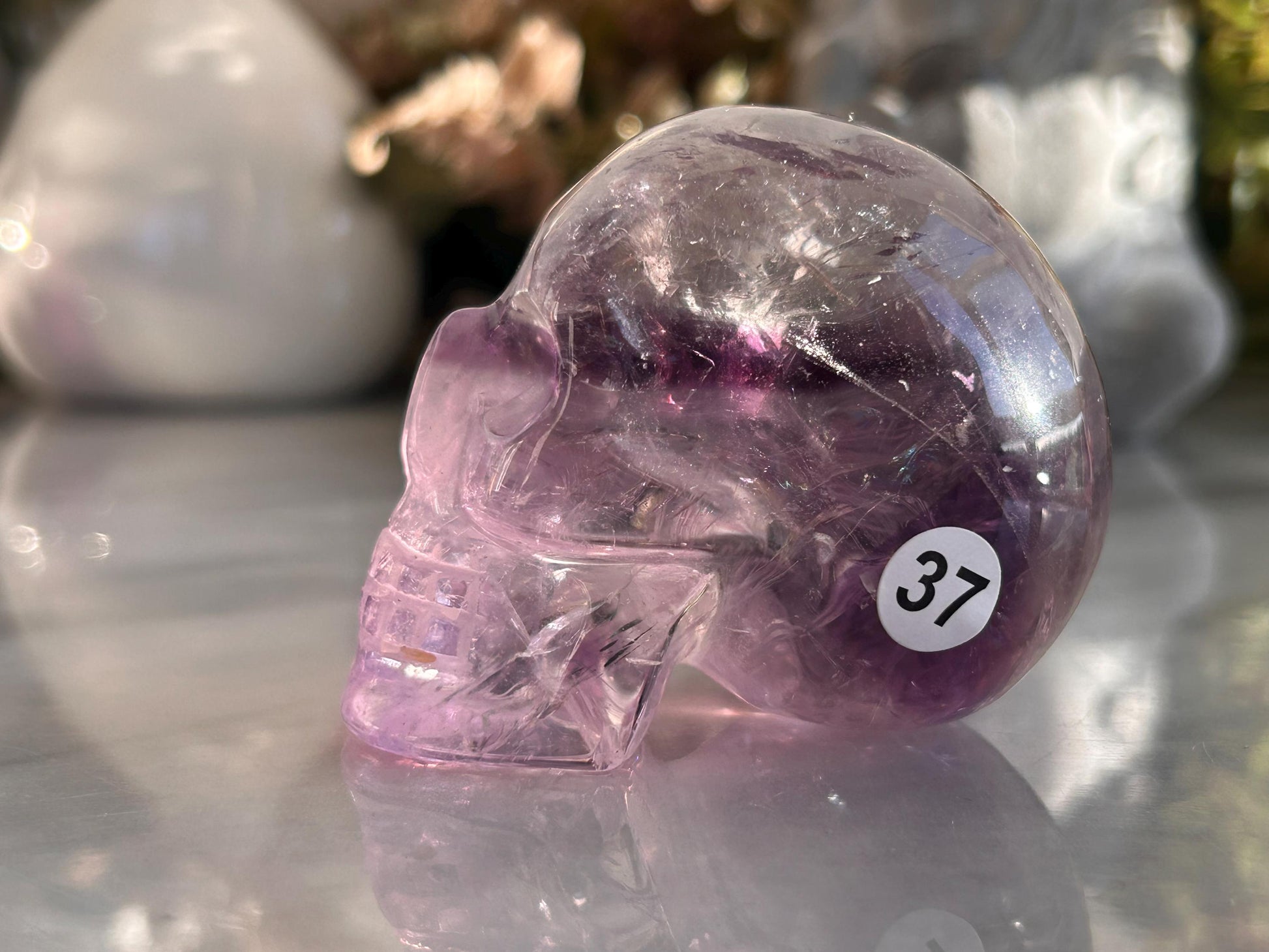 AAA Quality Phantom Amethyst Skull w\ Rainbows | Amethyst from Bahia, Brazil | Amethyst Skull | Crystal Skull | Crystal Gift | Home Decor-Crystal Skulls-Phantom amethyst
