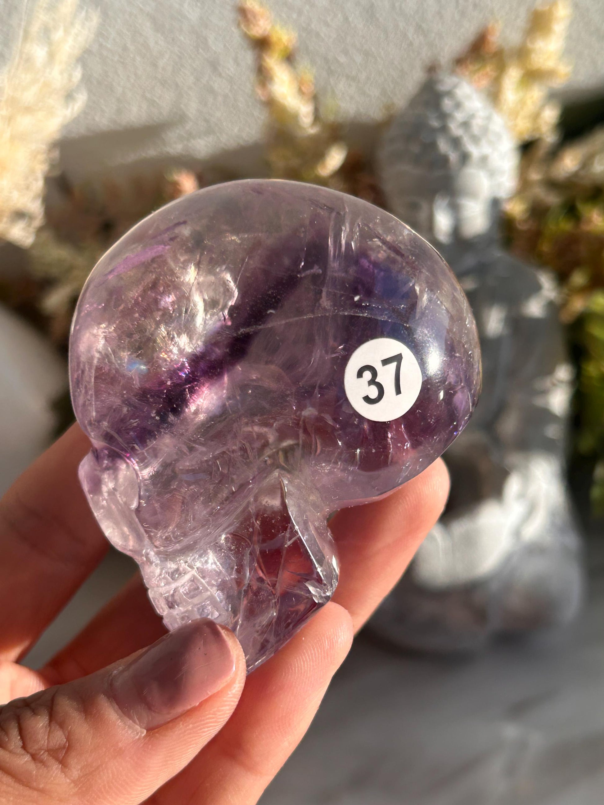 AAA Quality Phantom Amethyst Skull w\ Rainbows | Amethyst from Bahia, Brazil | Amethyst Skull | Crystal Skull | Crystal Gift | Home Decor-Crystal Skulls-Phantom amethyst
