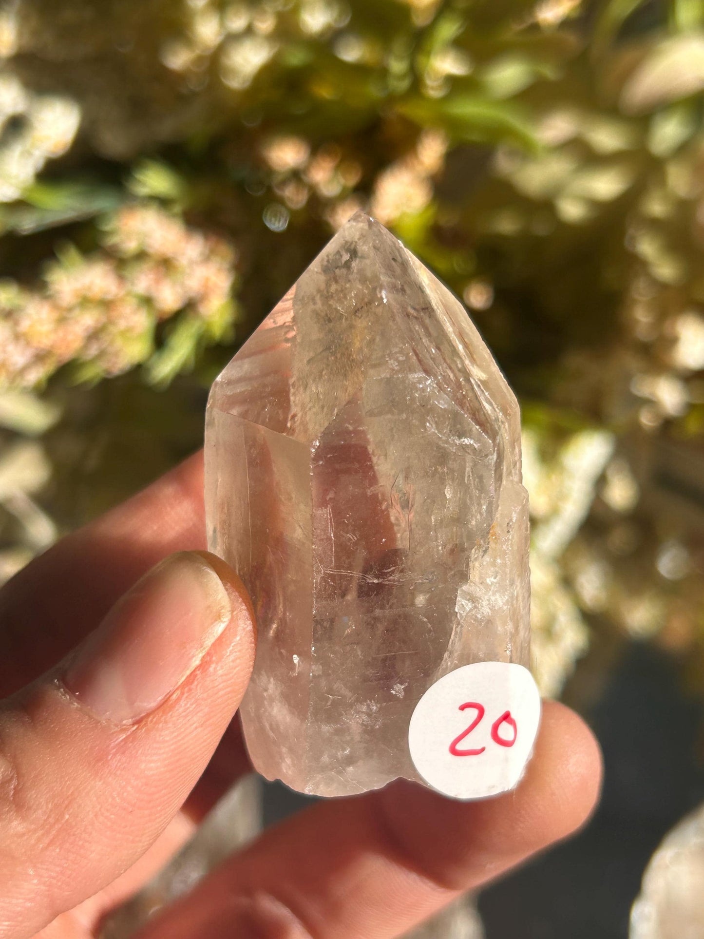 Lemurian Quartz w\ Lodolite Quartz Raw Point | Garden Lemurian Quartz | Shamanic Lemurian Quartz | Scenic Lemurian| Natural Healing Crystal-Raw Crystal Specimens-Lemurian, Quartz, Lodolite