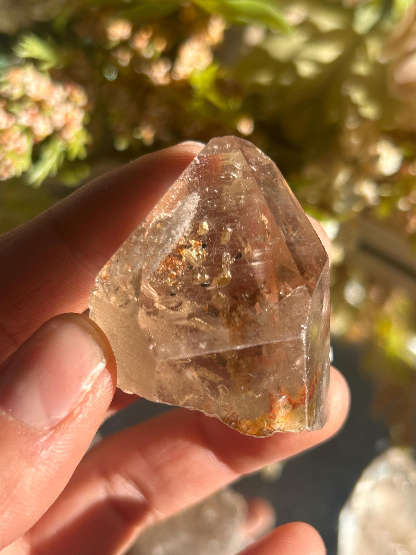 Lemurian Quartz w\ Lodolite Quartz Raw Point | Garden Lemurian Quartz | Shamanic Lemurian Quartz | Scenic Lemurian| Natural Healing Crystal-Raw Crystal Specimens-Lemurian, Quartz, Lodolite