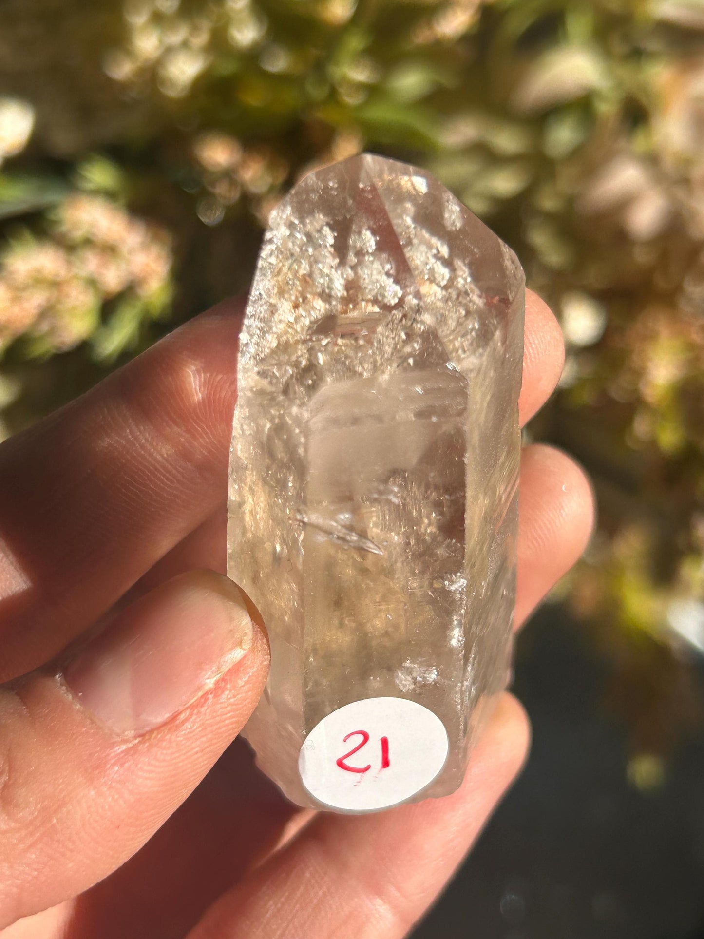 Lemurian Quartz w\ Lodolite Quartz Raw Point | Garden Lemurian Quartz | Shamanic Lemurian Quartz | Scenic Lemurian| Natural Healing Crystal-Raw Crystal Specimens-Lemurian, Quartz, Lodolite