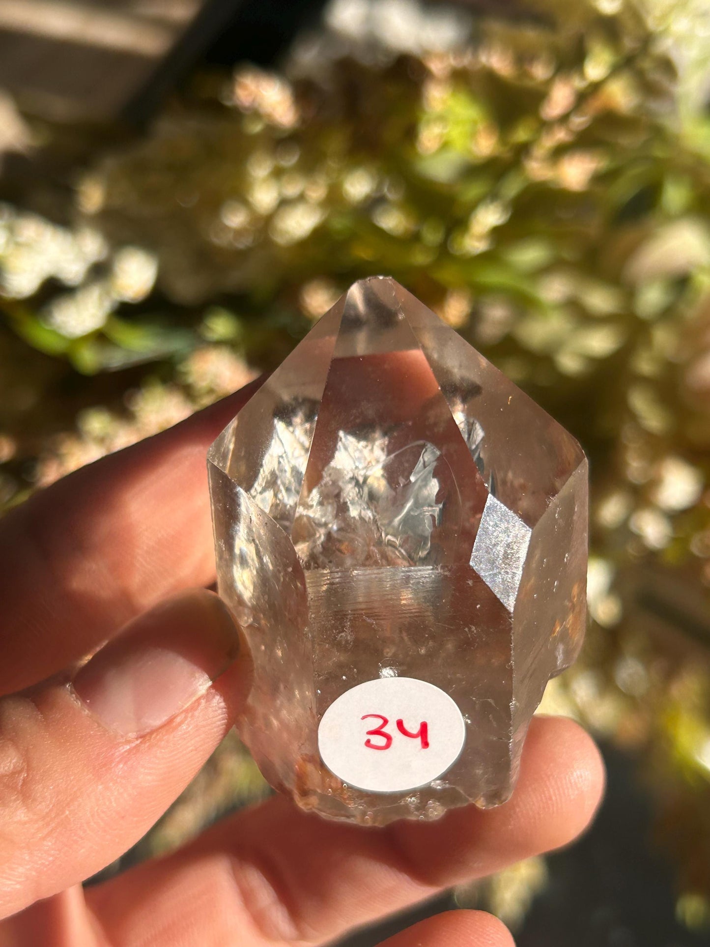 Lemurian Quartz w\ Lodolite Quartz Raw Point | Garden Lemurian Quartz | Shamanic Lemurian Quartz | Scenic Lemurian| Natural Healing Crystal-Raw Crystal Specimens-Lemurian, Quartz, Lodolite
