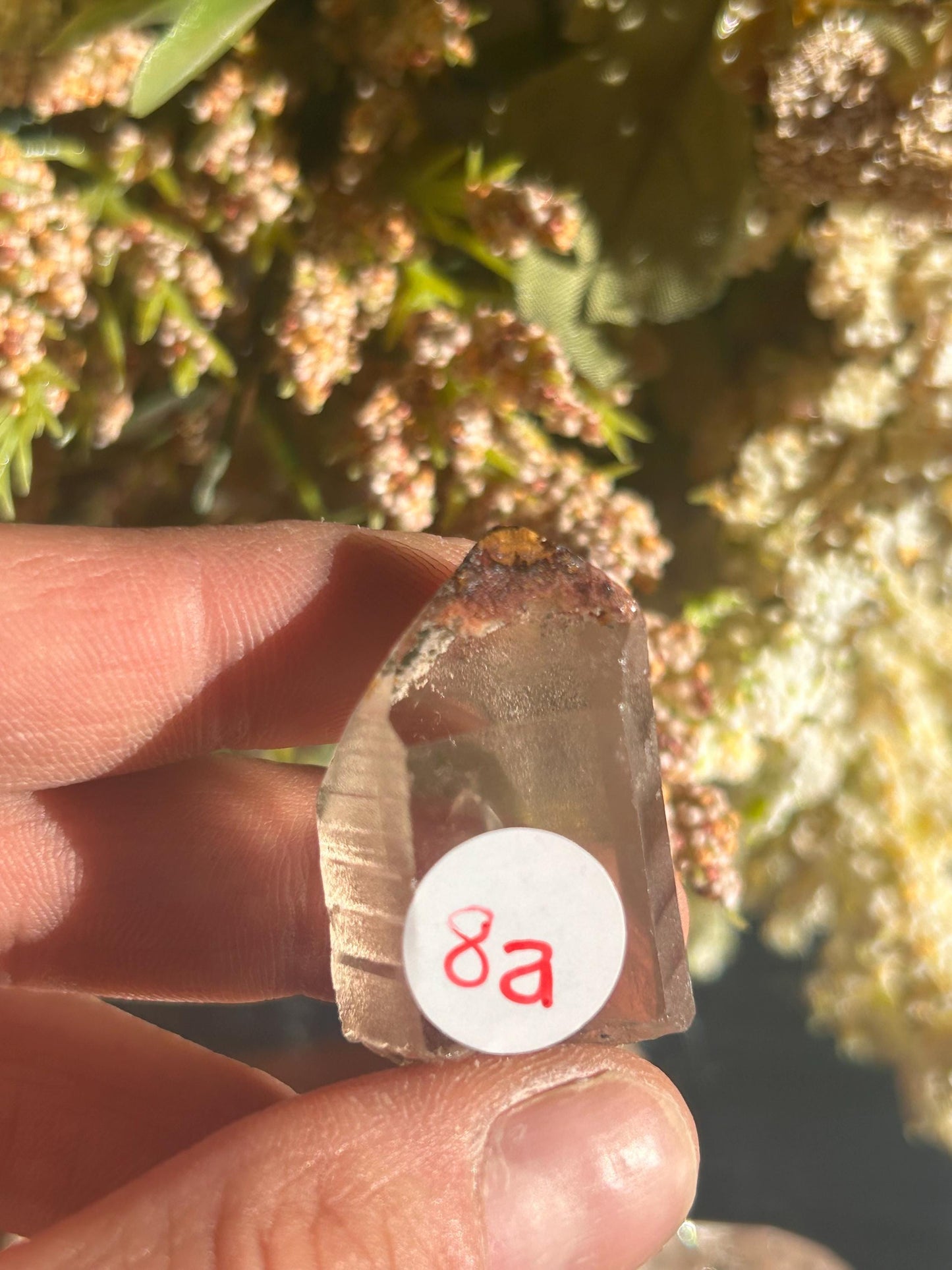 Lemurian Quartz w\ Lodolite Quartz Raw Point | Garden Lemurian Quartz | Shamanic Lemurian Quartz | Scenic Lemurian| Natural Healing Crystal-Raw Crystal Specimens-Lemurian, Quartz, Lodolite