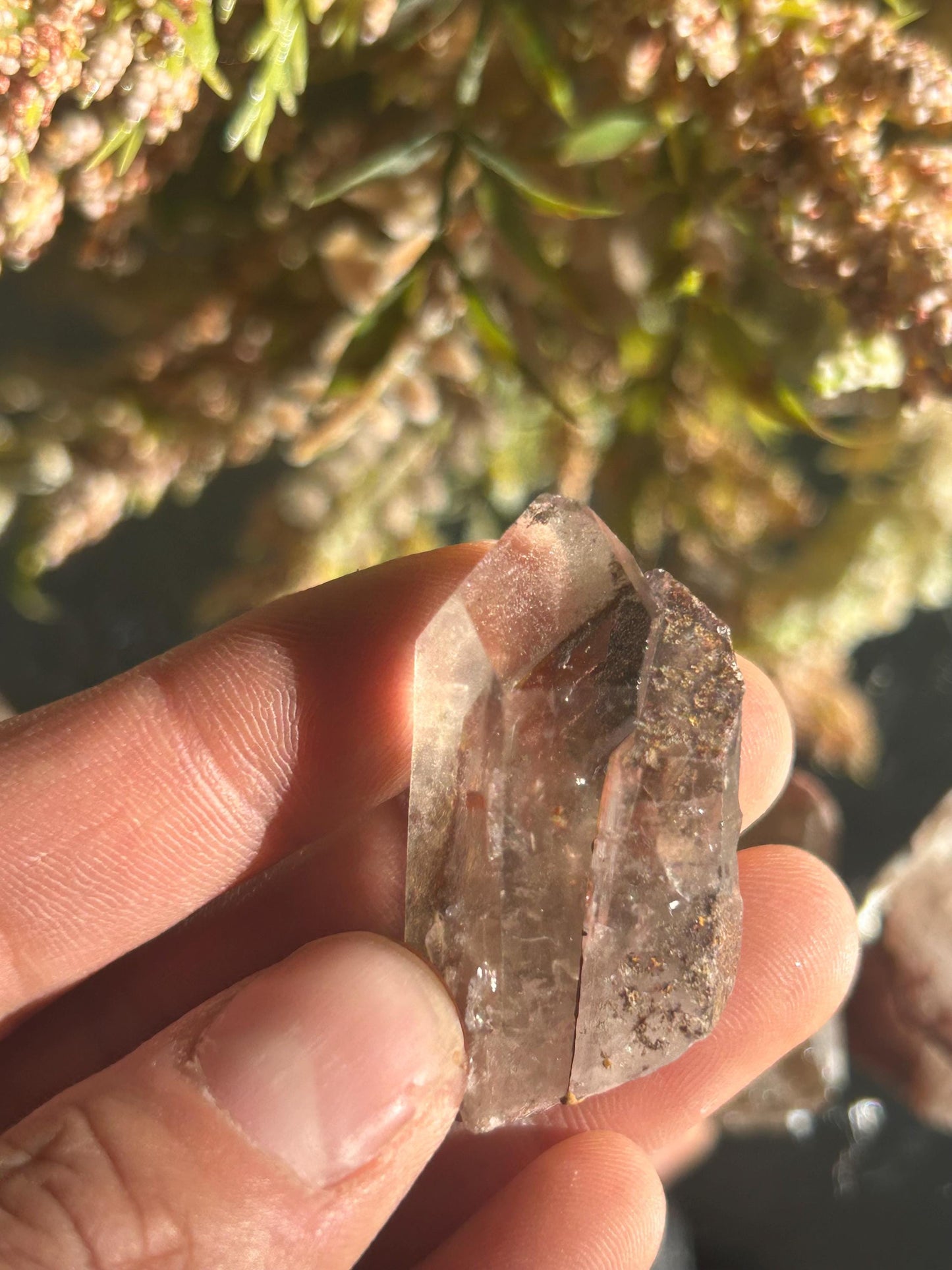 Lemurian Quartz w\ Lodolite Quartz Raw Point | Garden Lemurian Quartz | Shamanic Lemurian Quartz | Scenic Lemurian| Natural Healing Crystal-Raw Crystal Specimens-Lemurian, Quartz, Lodolite
