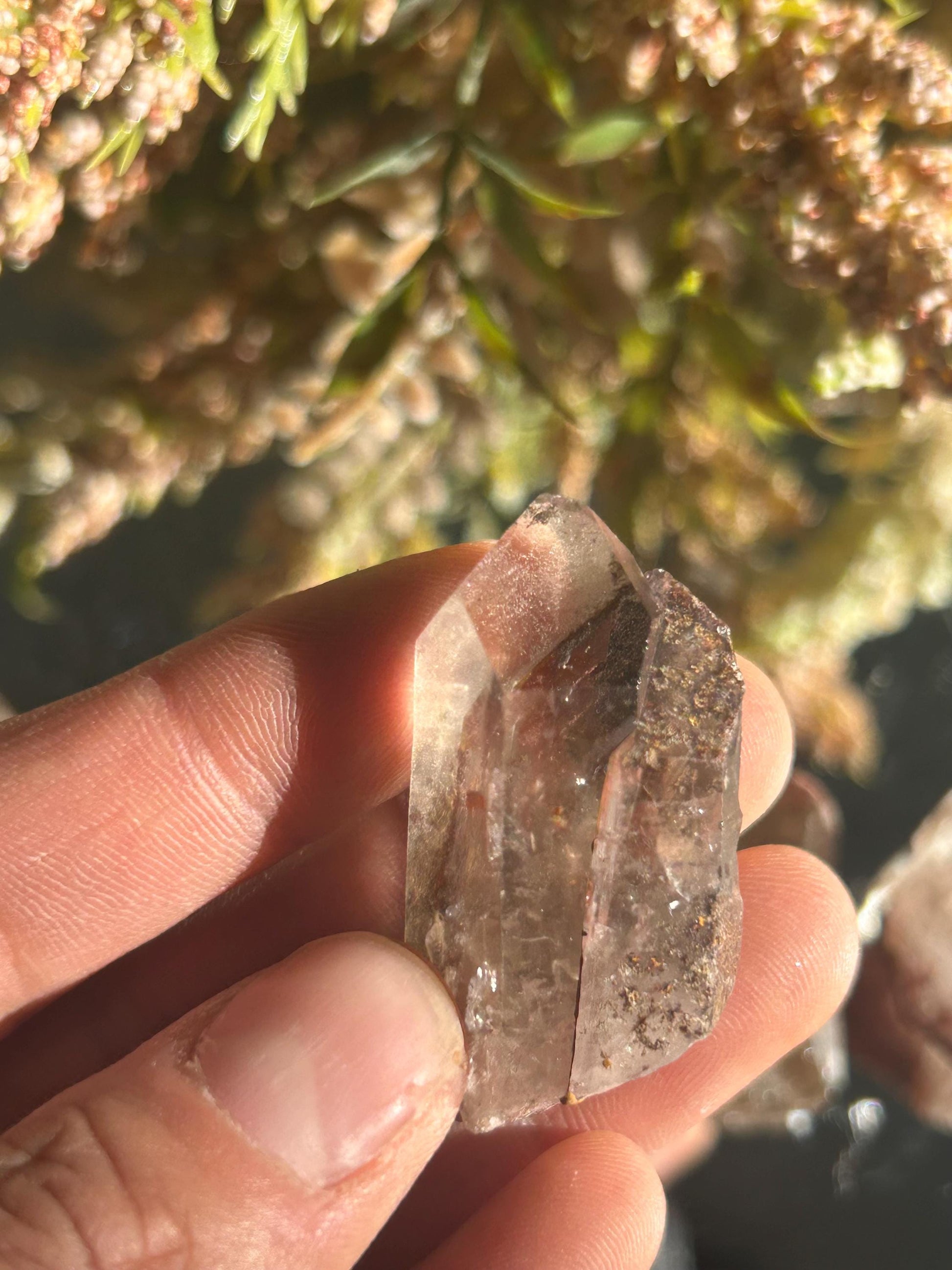 Lemurian Quartz w\ Lodolite Quartz Raw Point | Garden Lemurian Quartz | Shamanic Lemurian Quartz | Scenic Lemurian| Natural Healing Crystal-Raw Crystal Specimens-Lemurian, Quartz, Lodolite
