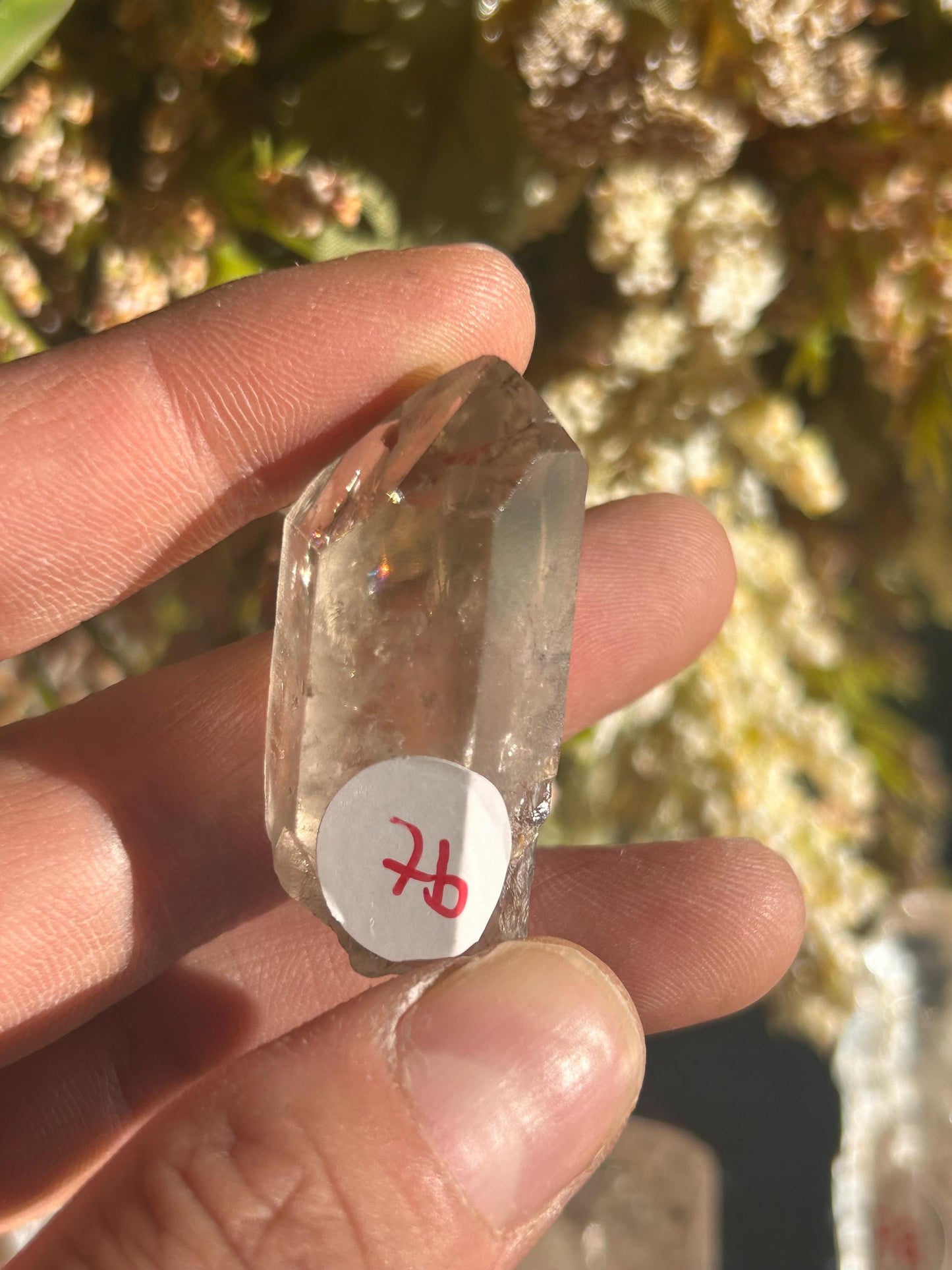 Lemurian Quartz w\ Lodolite Quartz Raw Point | Garden Lemurian Quartz | Shamanic Lemurian Quartz | Scenic Lemurian| Natural Healing Crystal-Raw Crystal Specimens-Lemurian, Quartz, Lodolite