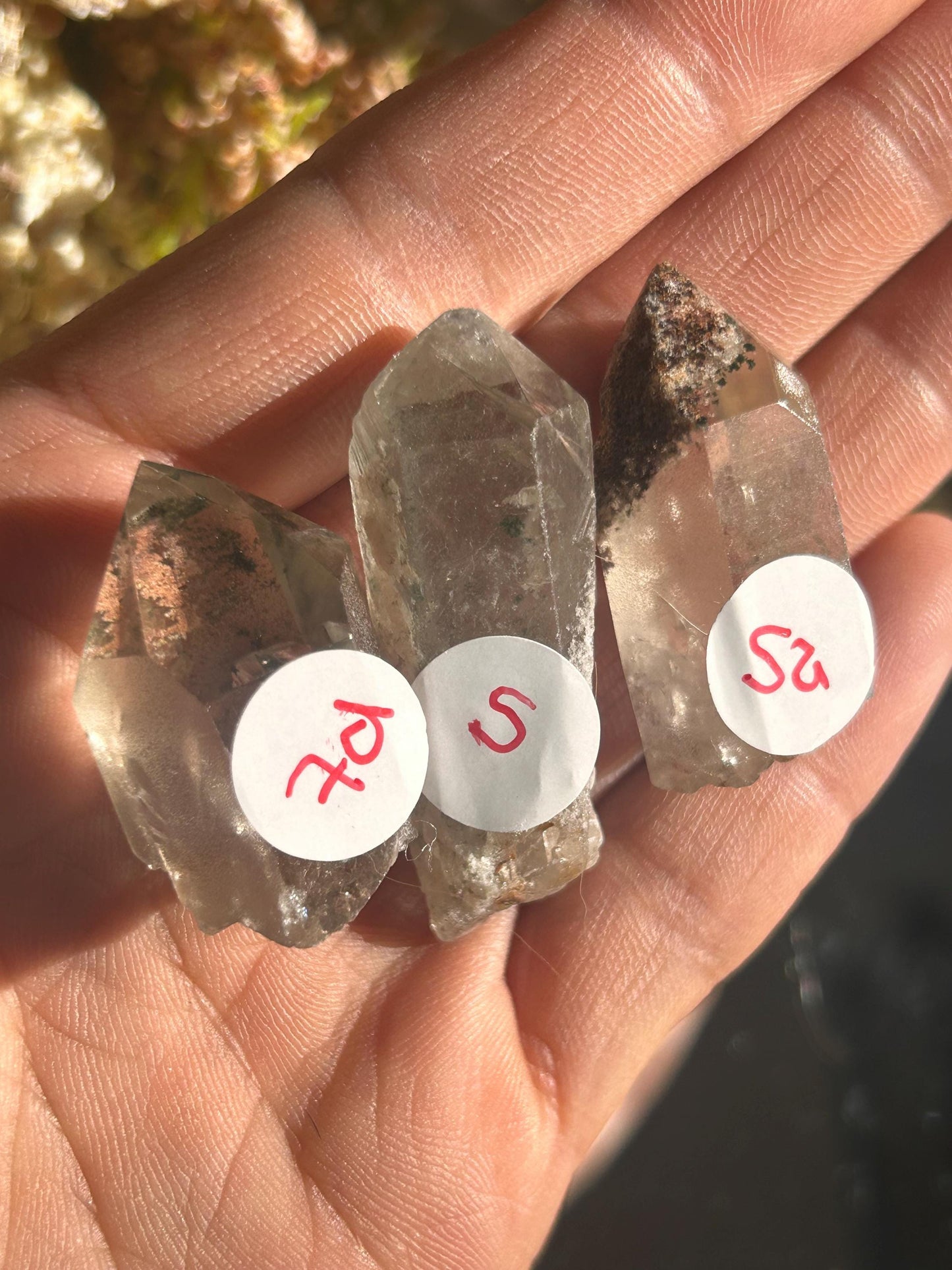 Lemurian Quartz w\ Lodolite Quartz Raw Point | Garden Lemurian Quartz | Shamanic Lemurian Quartz | Scenic Lemurian| Natural Healing Crystal-Raw Crystal Specimens-Lemurian, Quartz, Lodolite