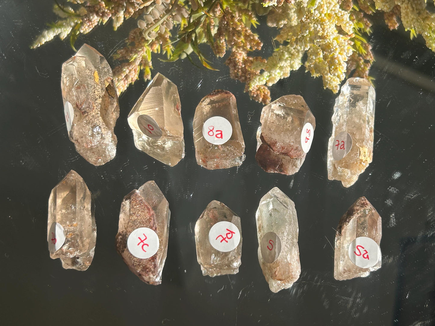 Lemurian Quartz w\ Lodolite Quartz Raw Point | Garden Lemurian Quartz | Shamanic Lemurian Quartz | Scenic Lemurian| Natural Healing Crystal-Raw Crystal Specimens-Lemurian, Quartz, Lodolite