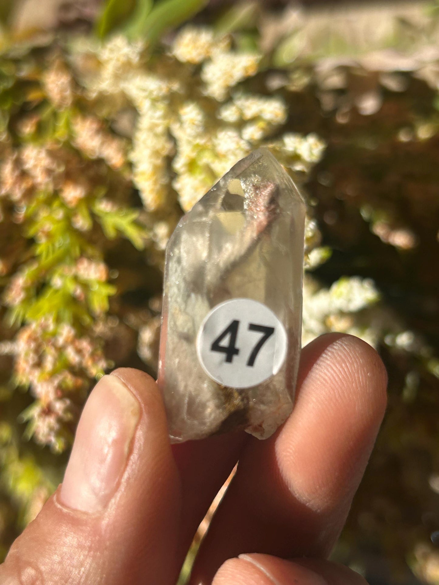 Lemurian Quartz w\ Lodolite Quartz Raw Point | Garden Lemurian Quartz | Shamanic Lemurian Quartz | Scenic Lemurian| Natural Healing Crystal-Raw Crystal Specimens-Lemurian, Quartz, Lodolite