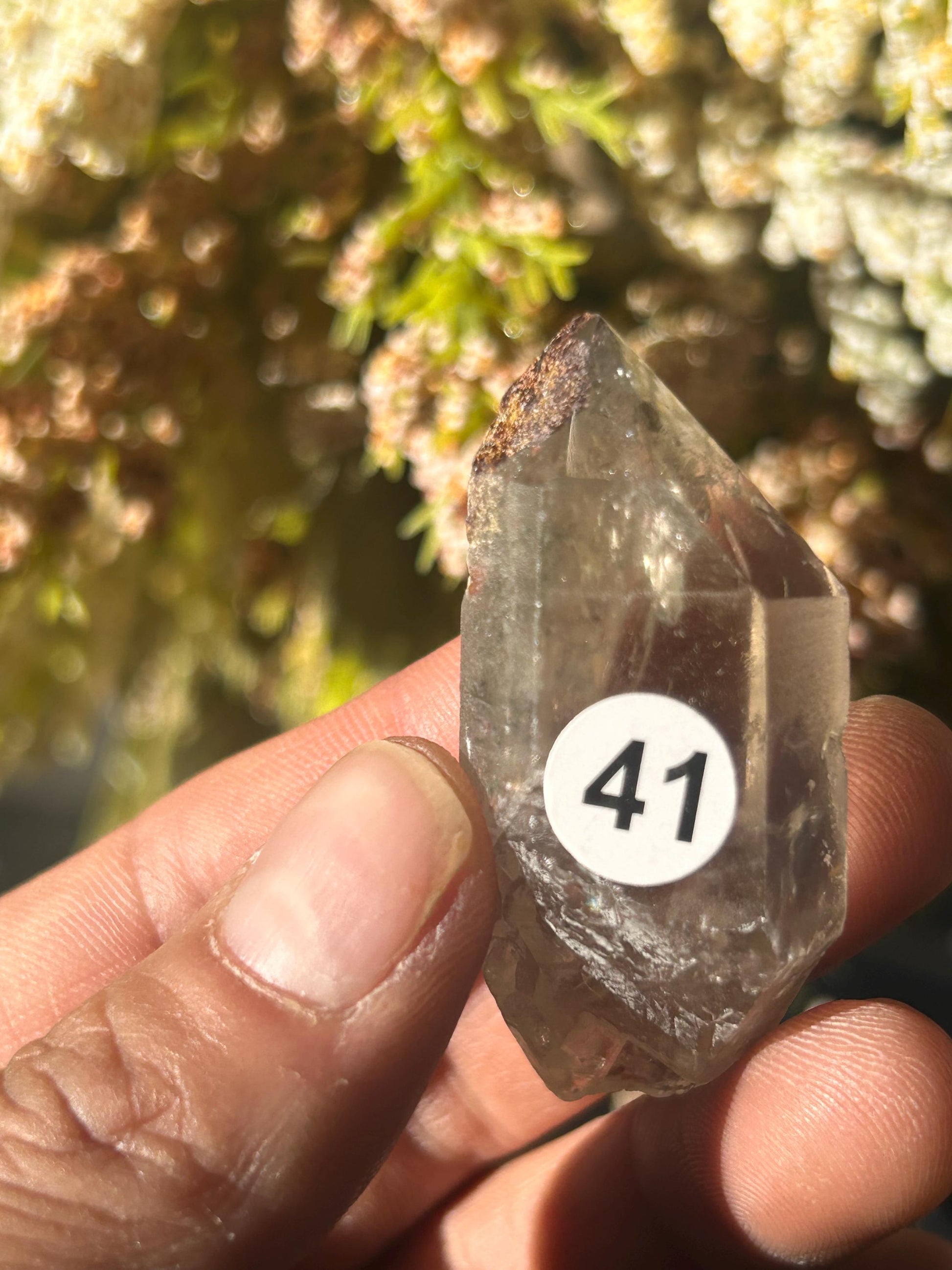 Lemurian Quartz w\ Lodolite Quartz Raw Point | Garden Lemurian Quartz | Shamanic Lemurian Quartz | Scenic Lemurian| Natural Healing Crystal-Raw Crystal Specimens-Lemurian, Quartz, Lodolite