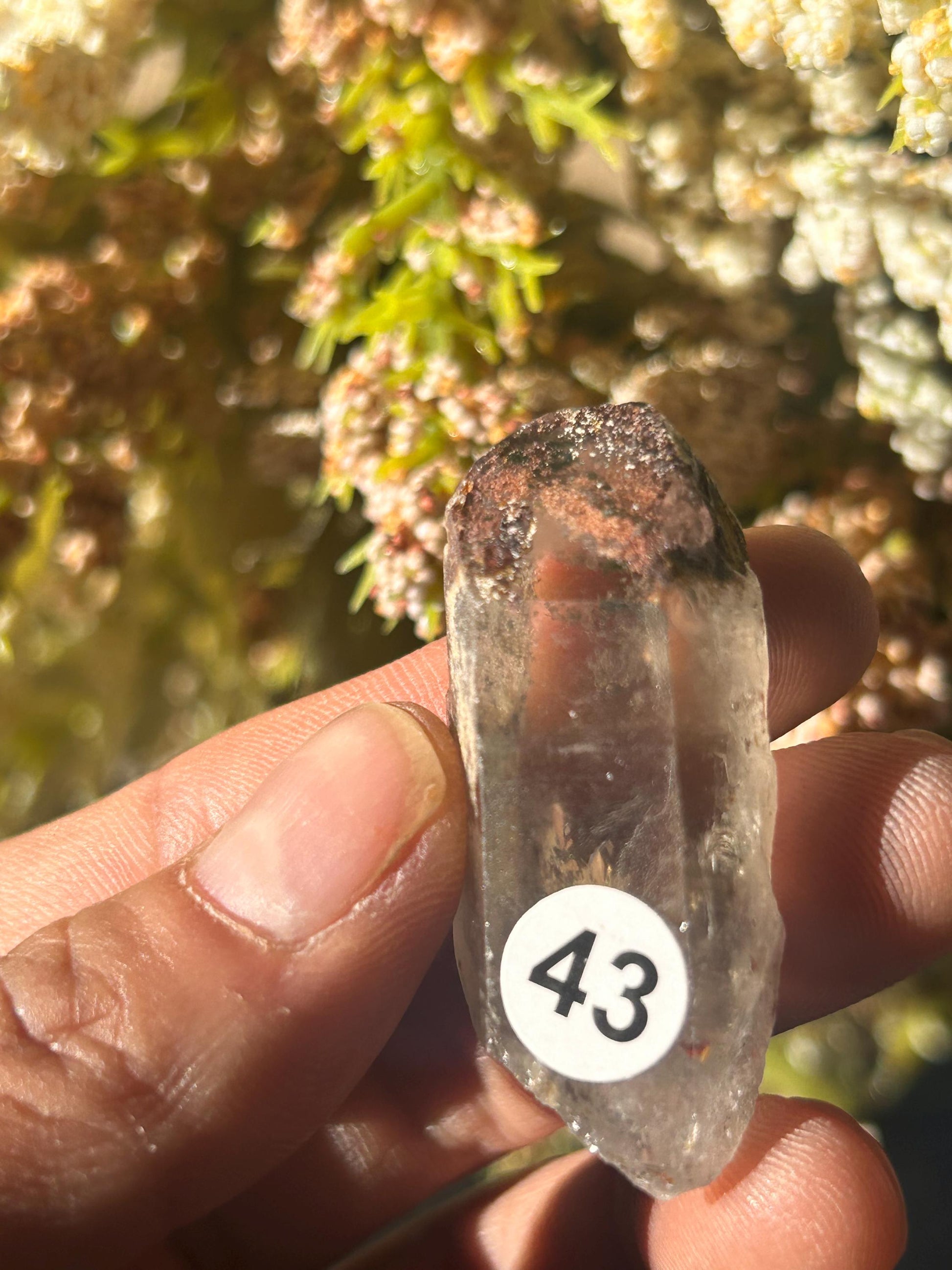 Lemurian Quartz w\ Lodolite Quartz Raw Point | Garden Lemurian Quartz | Shamanic Lemurian Quartz | Scenic Lemurian| Natural Healing Crystal-Raw Crystal Specimens-Lemurian, Quartz, Lodolite