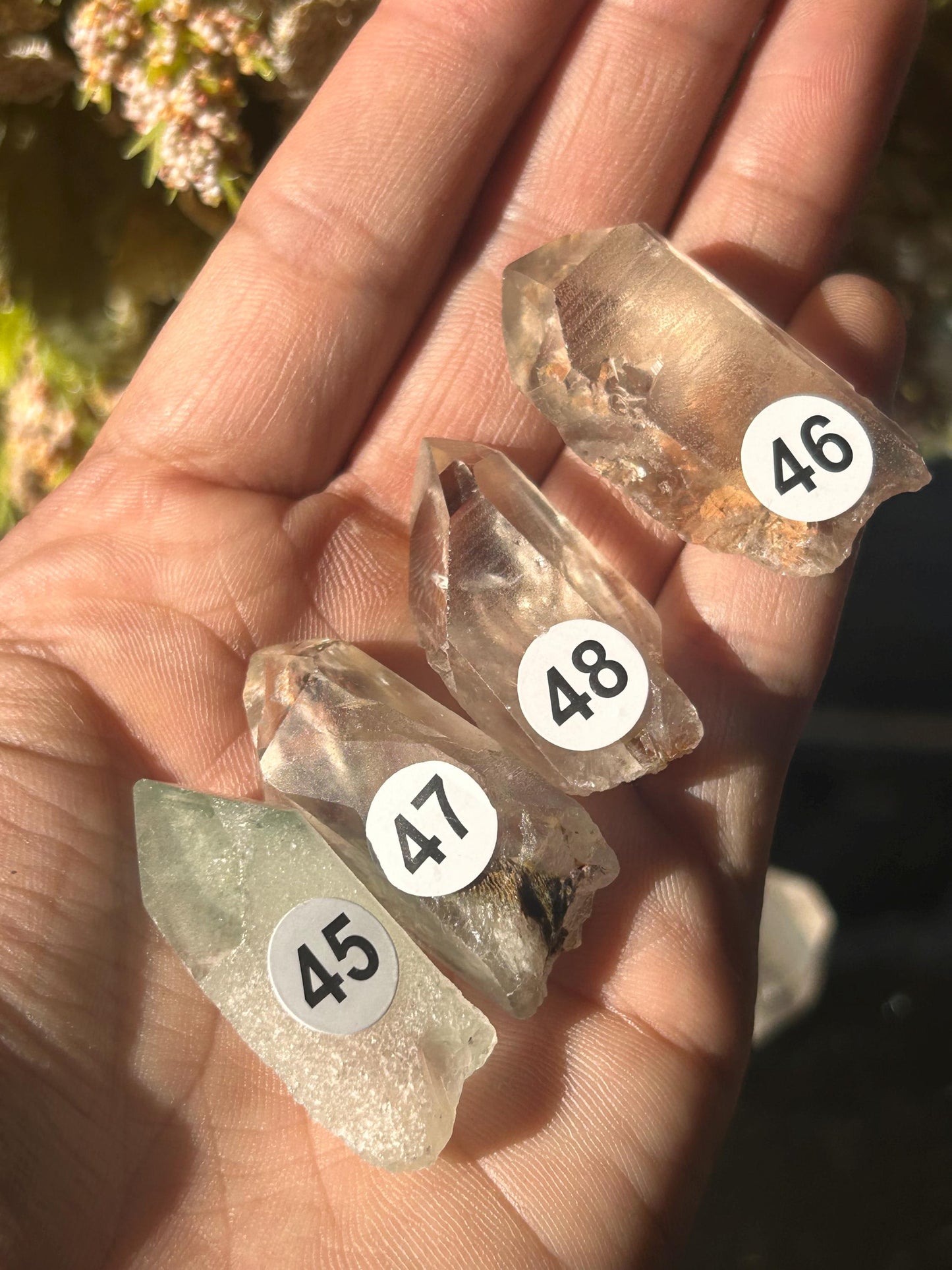 Lemurian Quartz w\ Lodolite Quartz Raw Point | Garden Lemurian Quartz | Shamanic Lemurian Quartz | Scenic Lemurian| Natural Healing Crystal-Raw Crystal Specimens-Lemurian, Quartz, Lodolite