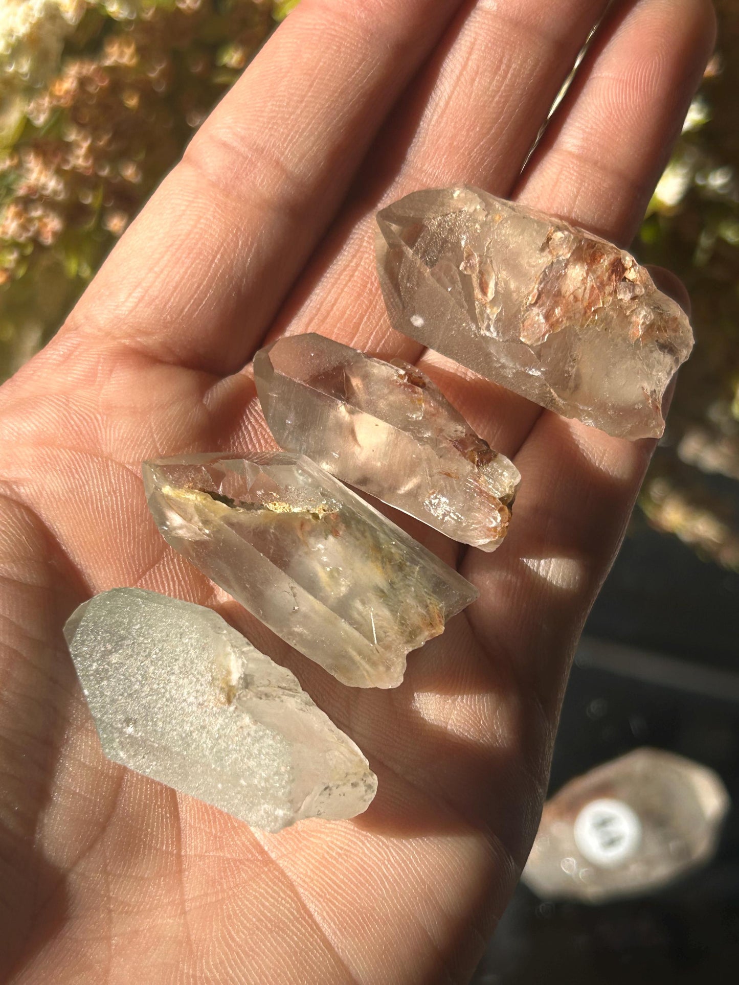 Lemurian Quartz w\ Lodolite Quartz Raw Point | Garden Lemurian Quartz | Shamanic Lemurian Quartz | Scenic Lemurian| Natural Healing Crystal-Raw Crystal Specimens-Lemurian, Quartz, Lodolite