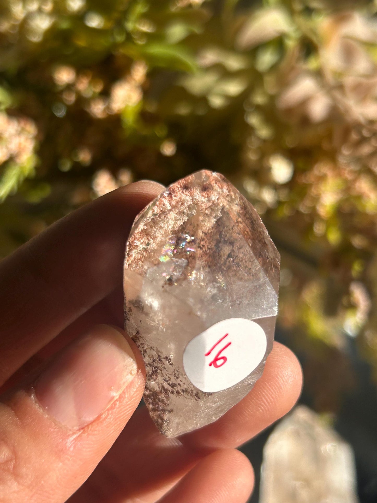 Lemurian Quartz w\ Lodolite Quartz Raw Point | Garden Lemurian Quartz | Shamanic Lemurian Quartz | Scenic Lemurian| Natural Healing Crystal-Raw Crystal Specimens-Lemurian, Quartz, Lodolite