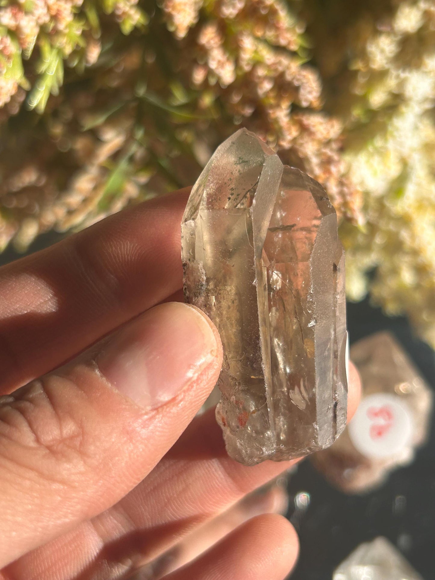 Lemurian Quartz w\ Lodolite Quartz Raw Point | Garden Lemurian Quartz | Shamanic Lemurian Quartz | Scenic Lemurian| Natural Healing Crystal-Raw Crystal Specimens-Lemurian, Quartz, Lodolite