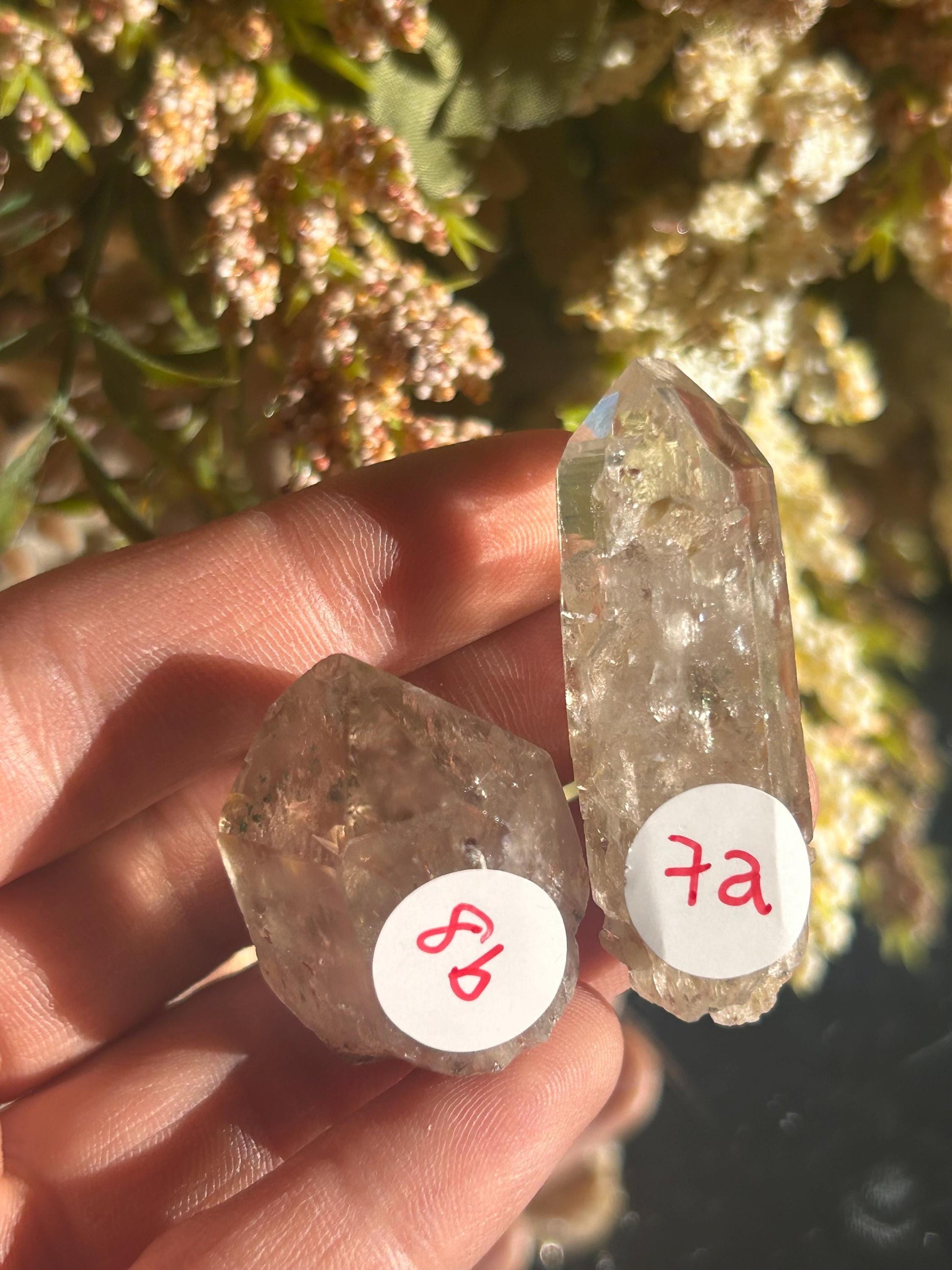 Lemurian Quartz w\ Lodolite Quartz Raw Point | Garden Lemurian Quartz | Shamanic Lemurian Quartz | Scenic Lemurian| Natural Healing Crystal-Raw Crystal Specimens-Lemurian, Quartz, Lodolite