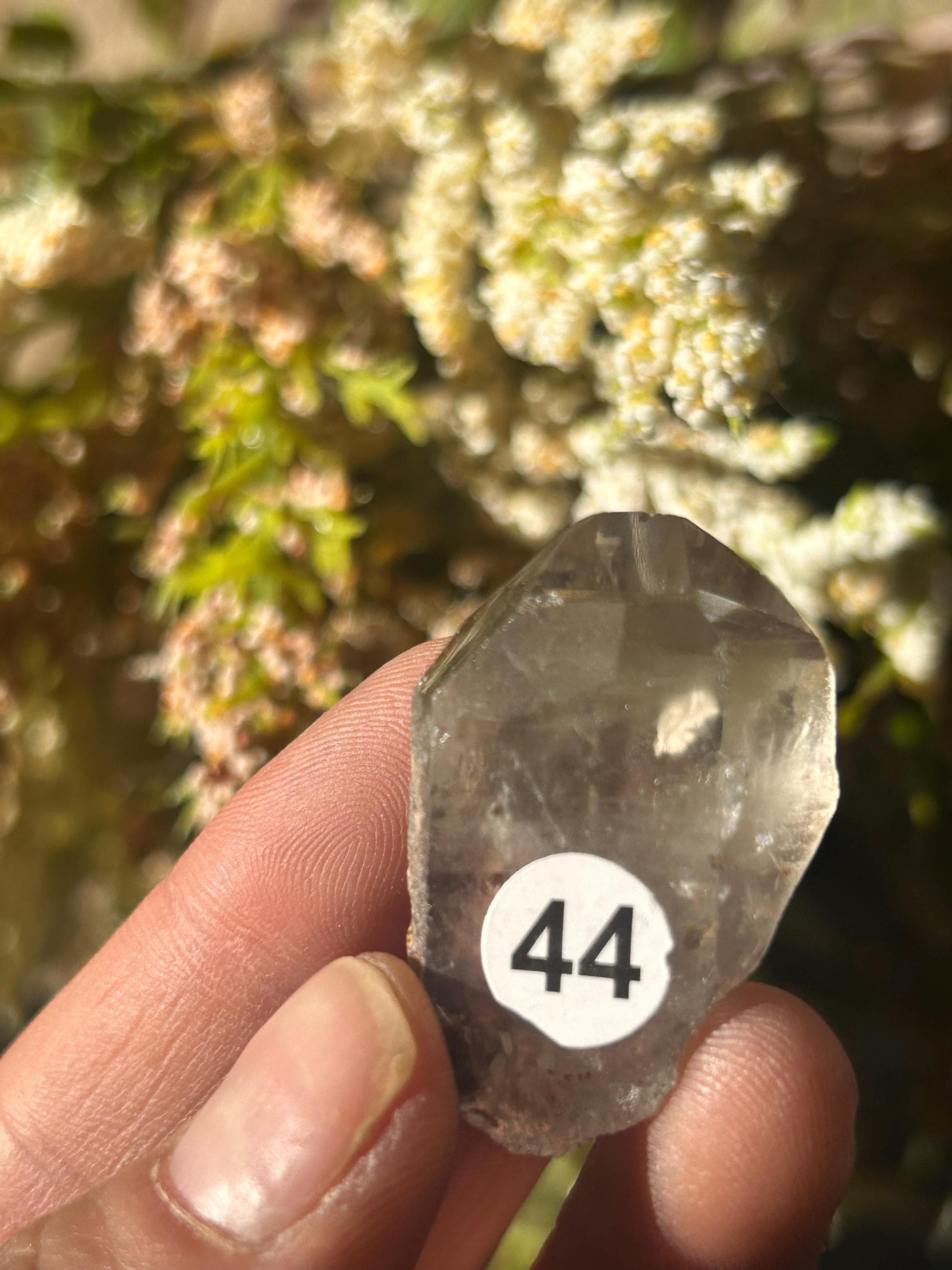 Lemurian Quartz w\ Lodolite Quartz Raw Point | Garden Lemurian Quartz | Shamanic Lemurian Quartz | Scenic Lemurian| Natural Healing Crystal-Raw Crystal Specimens-Lemurian, Quartz, Lodolite